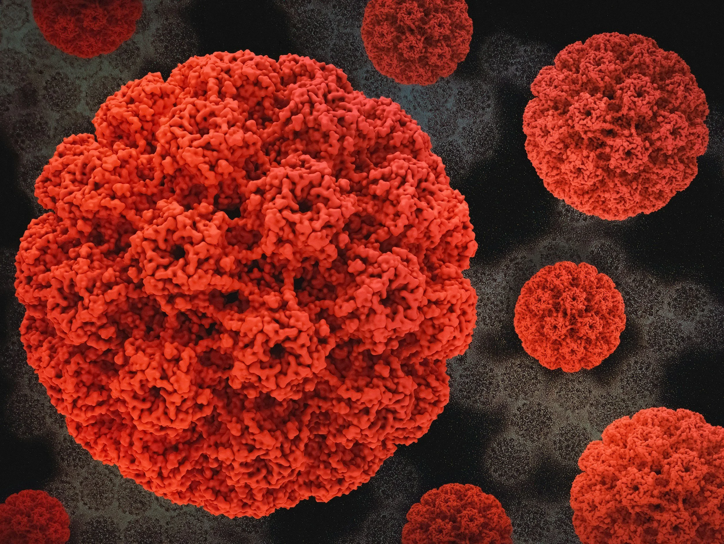 rare diseases