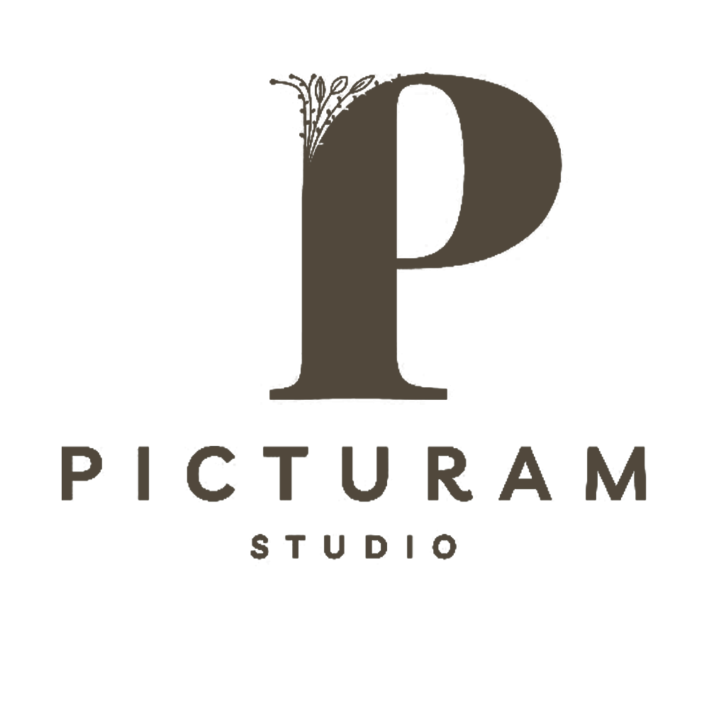 Picturam Studio