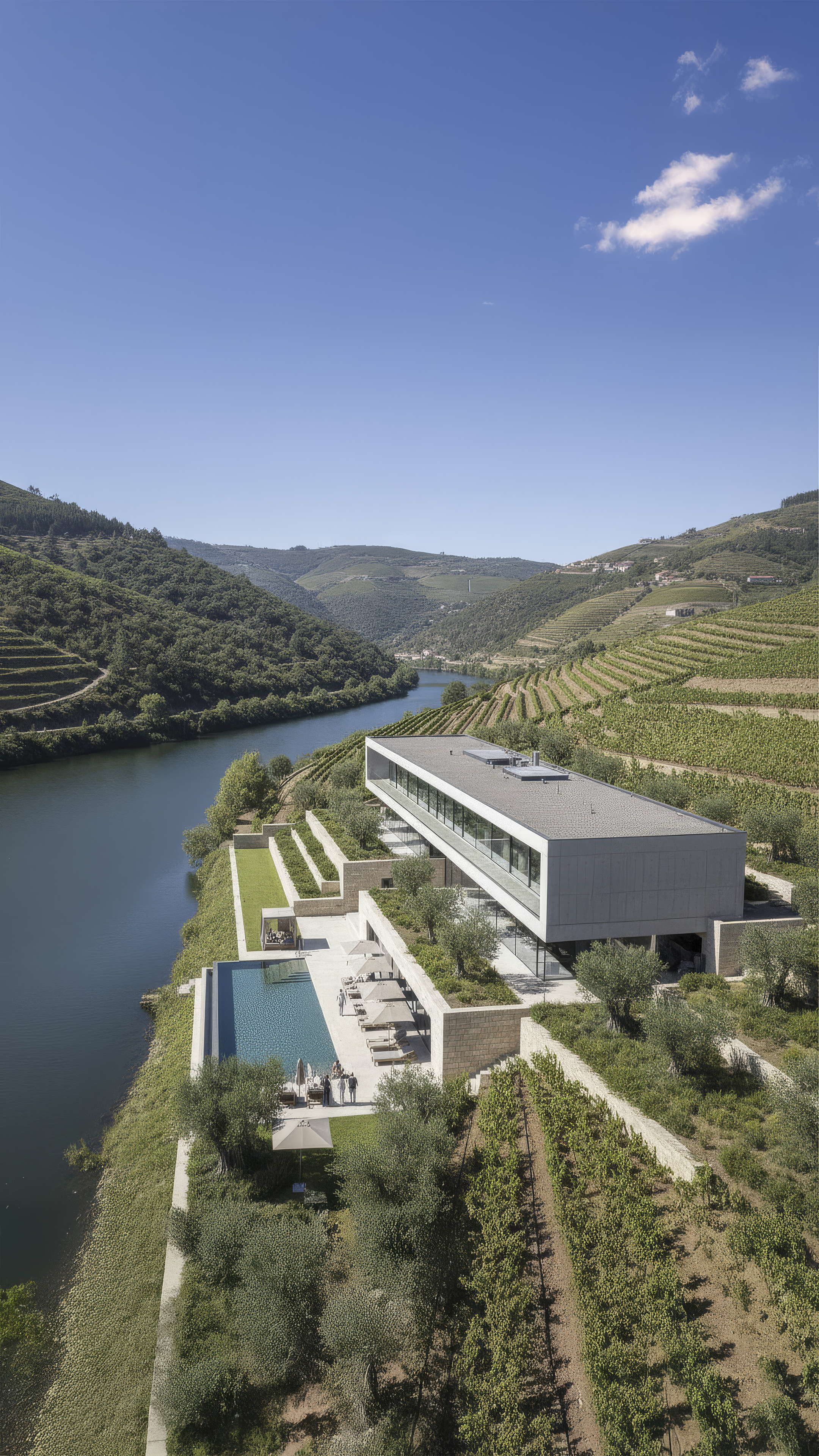 enhanced_Sem Título-2.png