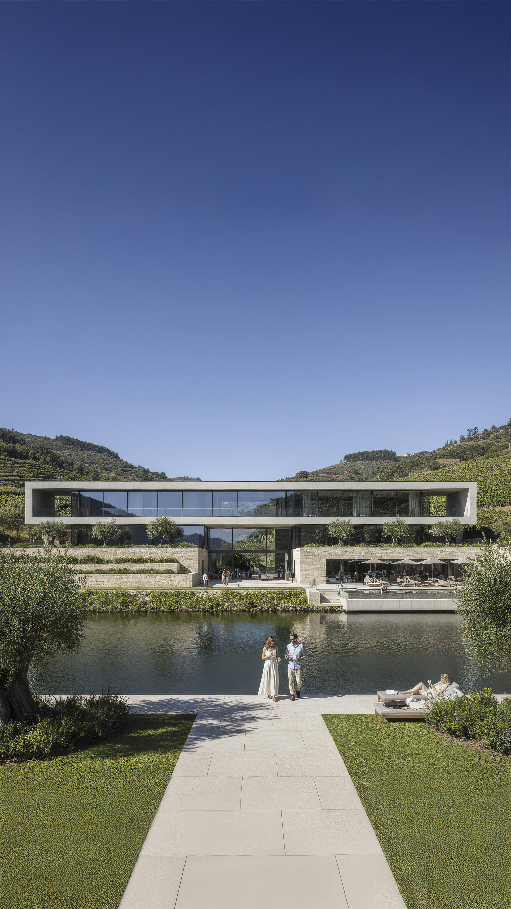 enhanced_Sem Título-1.png