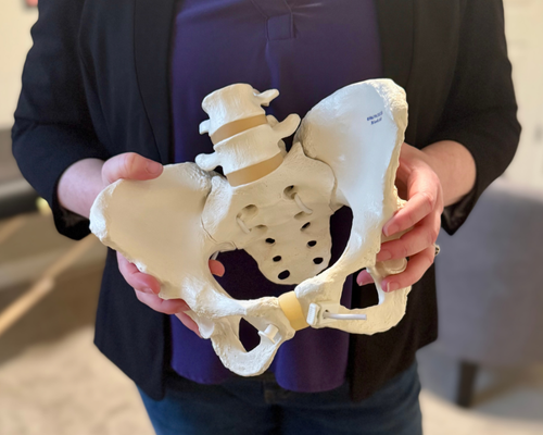 Owner of Unbound Pelvis a pelvic floor physical therapist holding a pelvis model