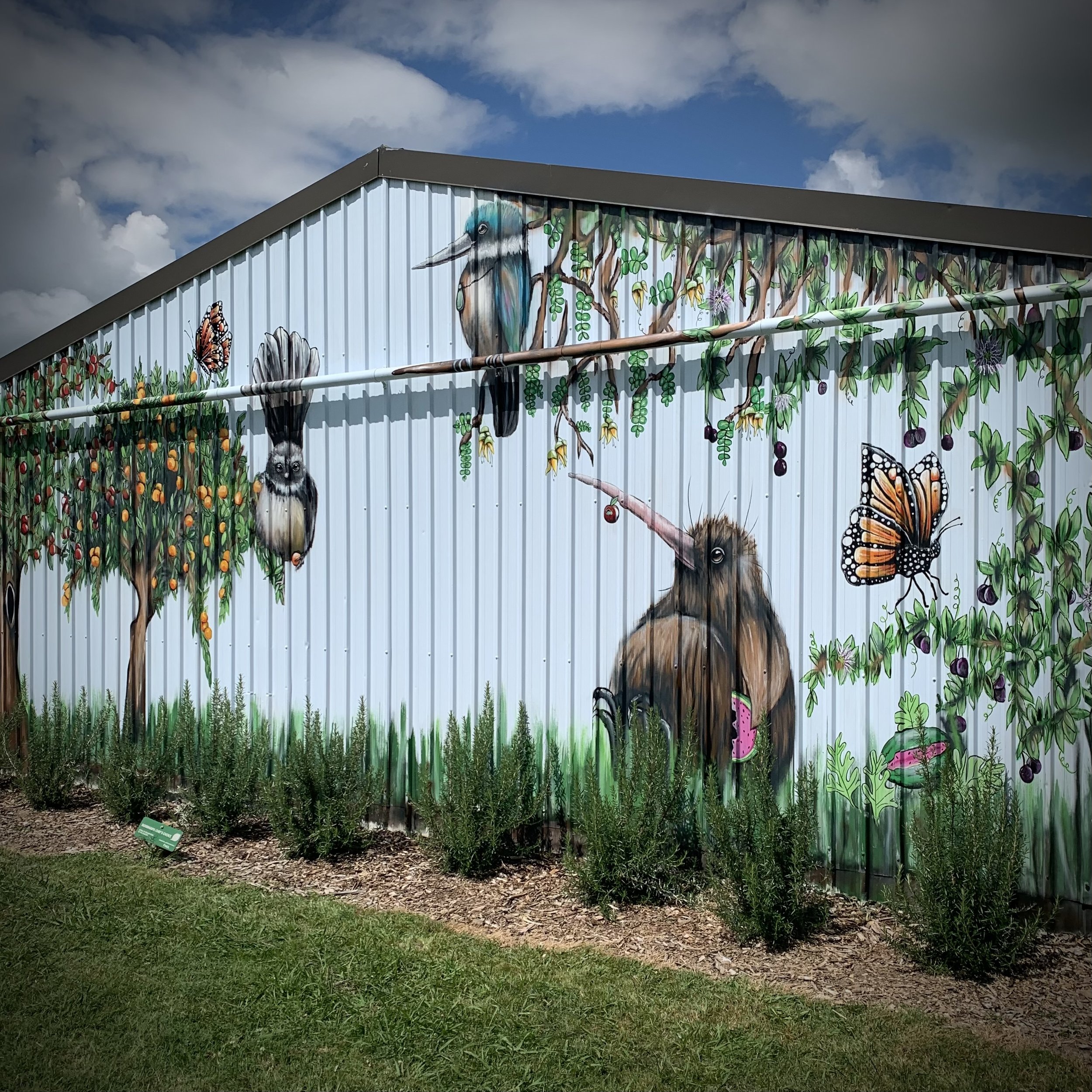 Colorful mural on a metal wall depicting various birds, a butterfly, a hummingbird, a kiwi, and trees with fruits and flowers, with some greenery in front.