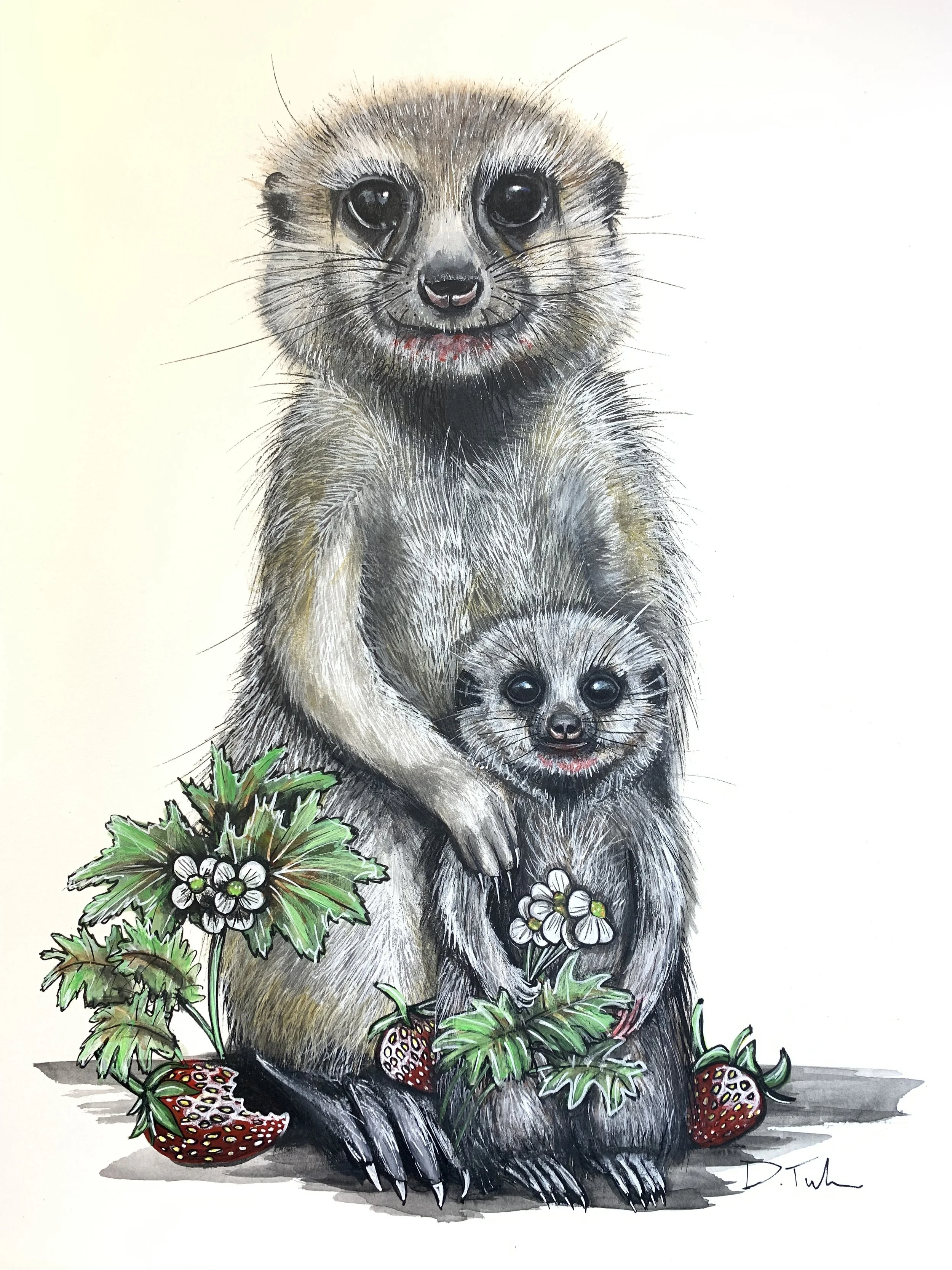 Illustration of two meerkats with strawberries and white flowers, one adult and one baby, with the adult holding the baby.
