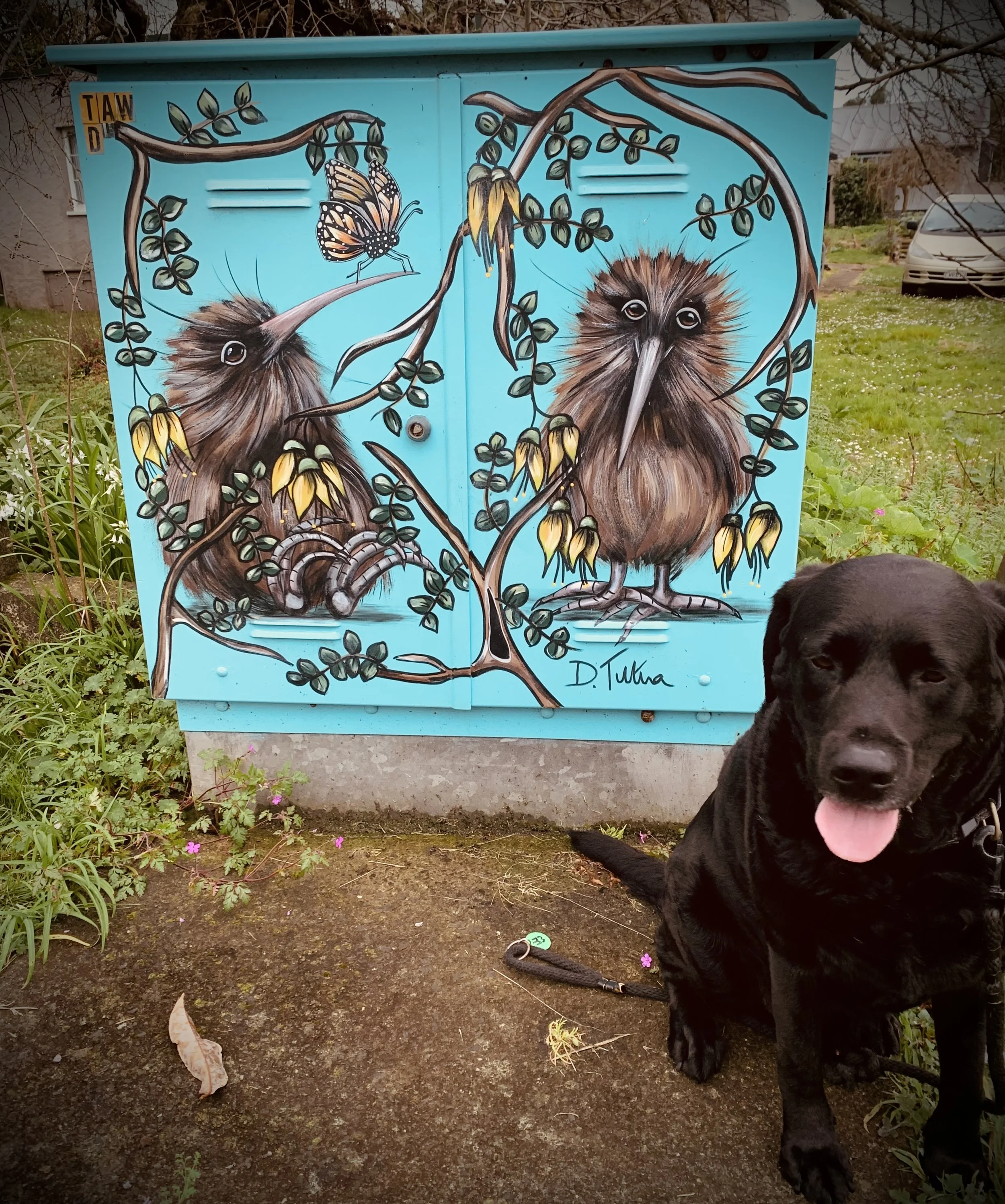 A painted utility box featuring two kiwi birds perched on a branch with yellow flowers and a butterfly nearby, with a black dog sitting next to it. The artist's signature is visible.