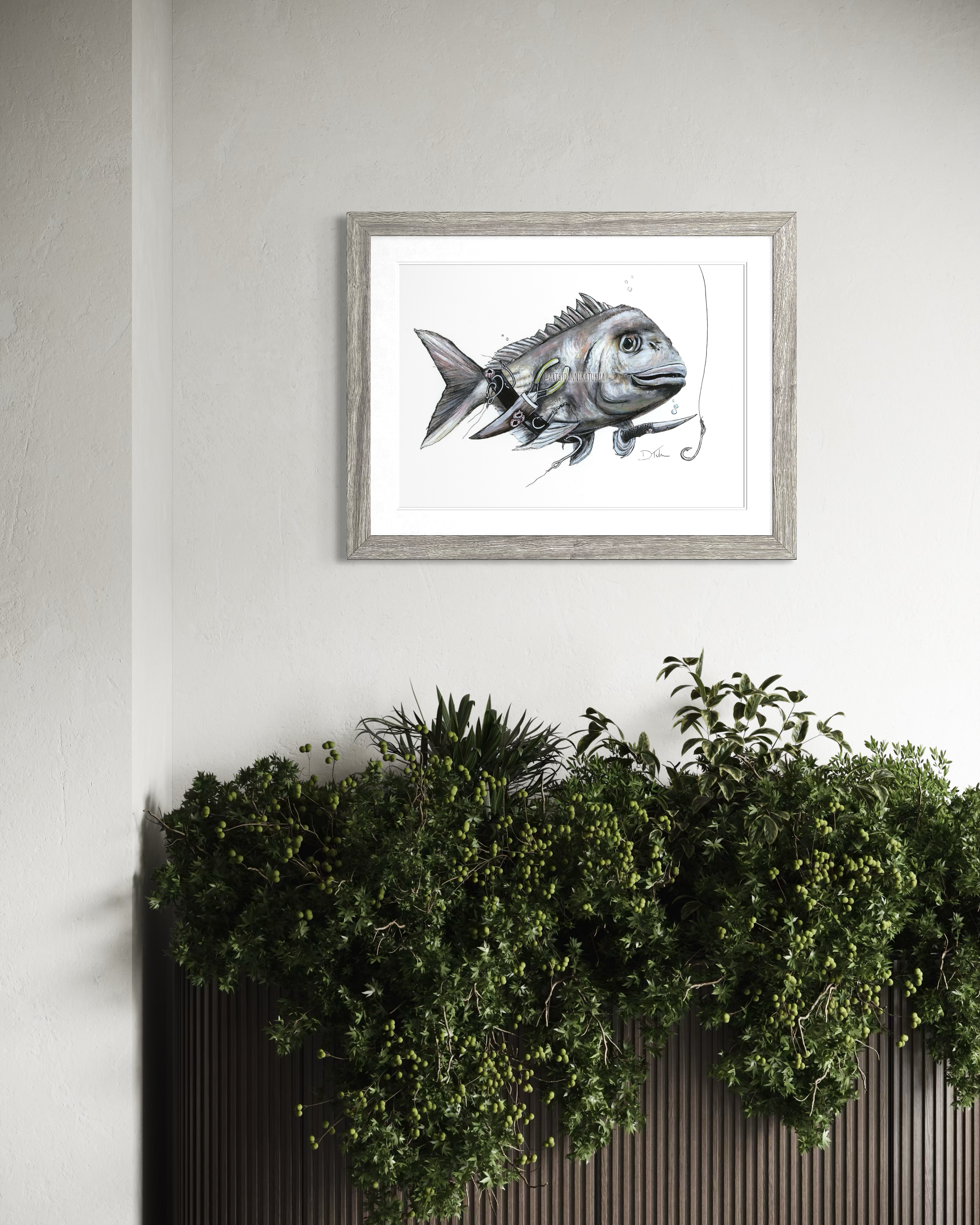 Kaitiaki Snapper Staged.png