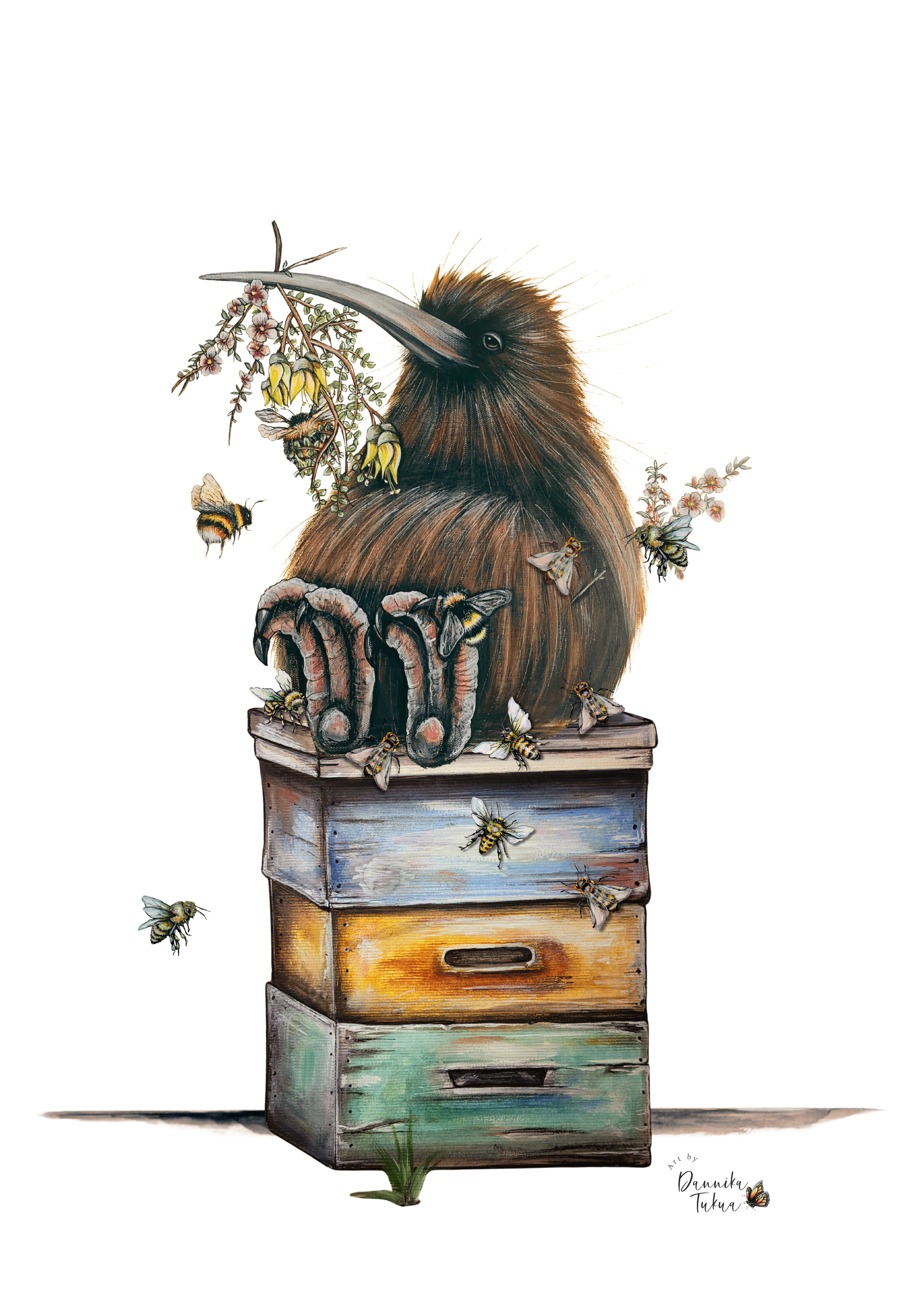 Kiwi Bee Box