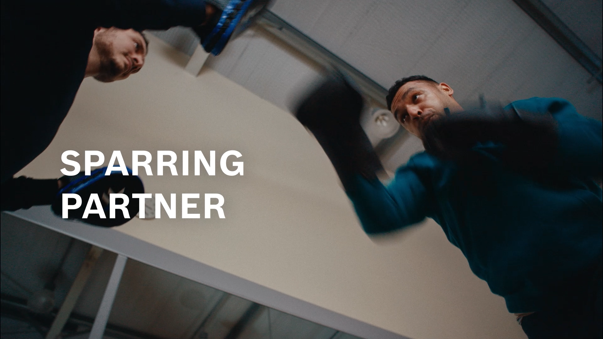 Still 2025-12-13 145953_1.1.3.png