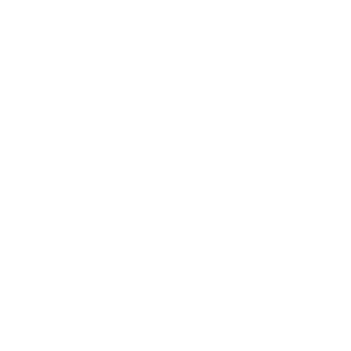 MENINI ENTERPRISE