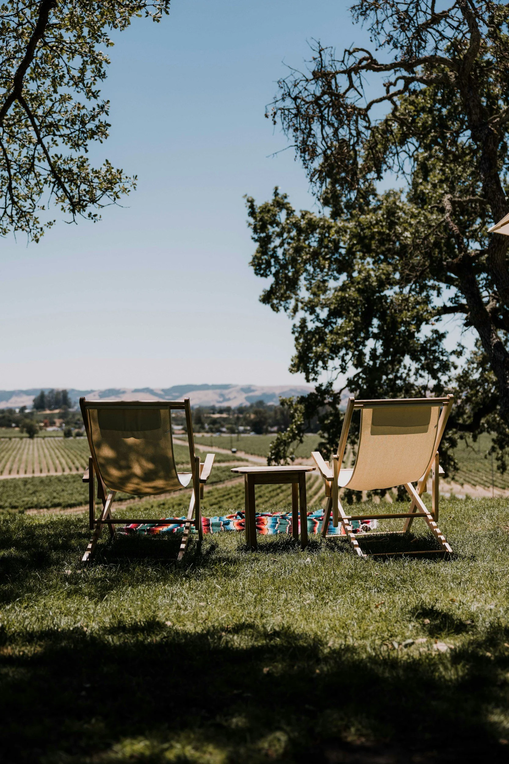 Two lounge chairs facing a scenic vineyard landscape, with a small table between them, under large trees on a sunny day.