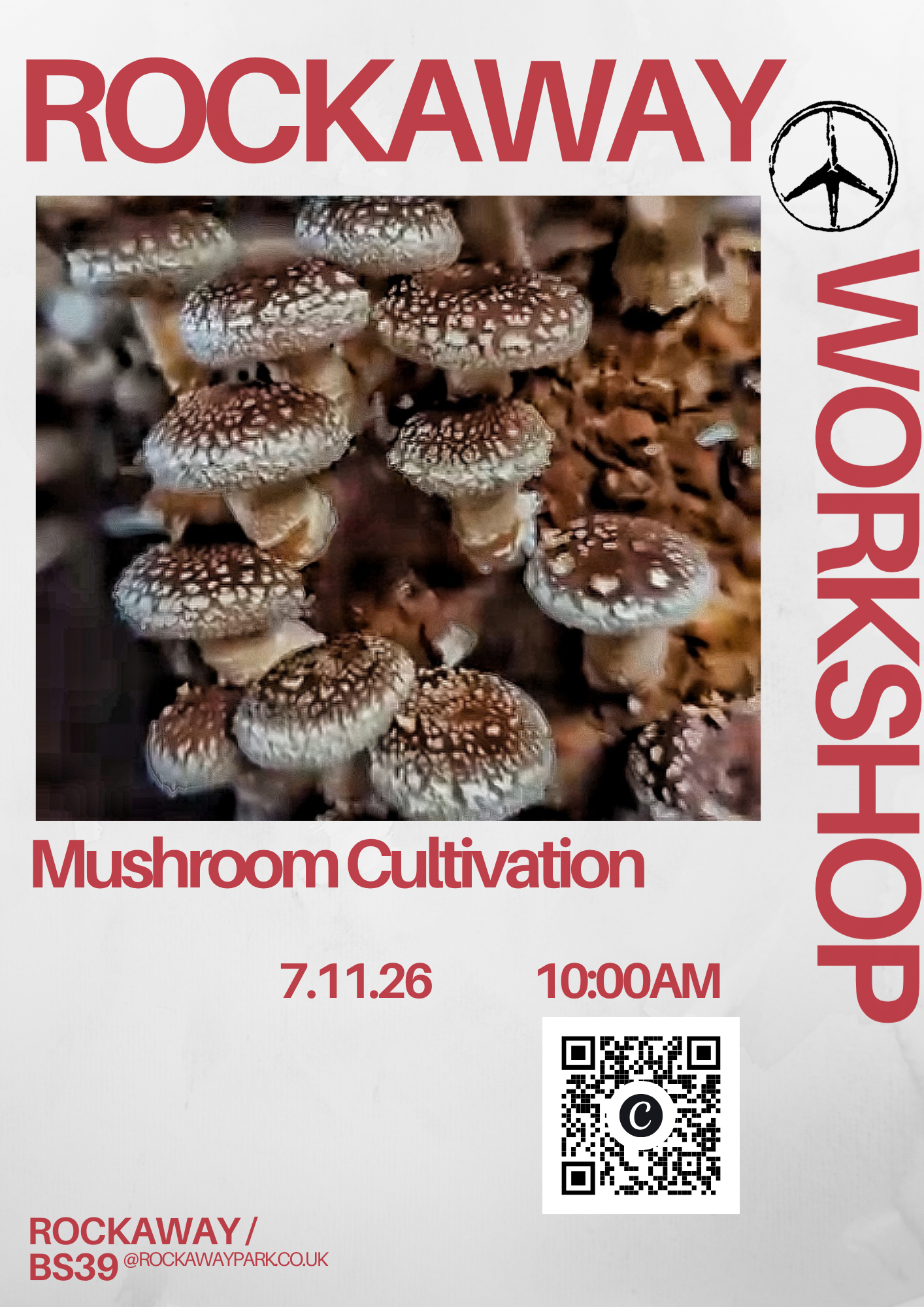 Mushroom Cultivation With Justine (1).png