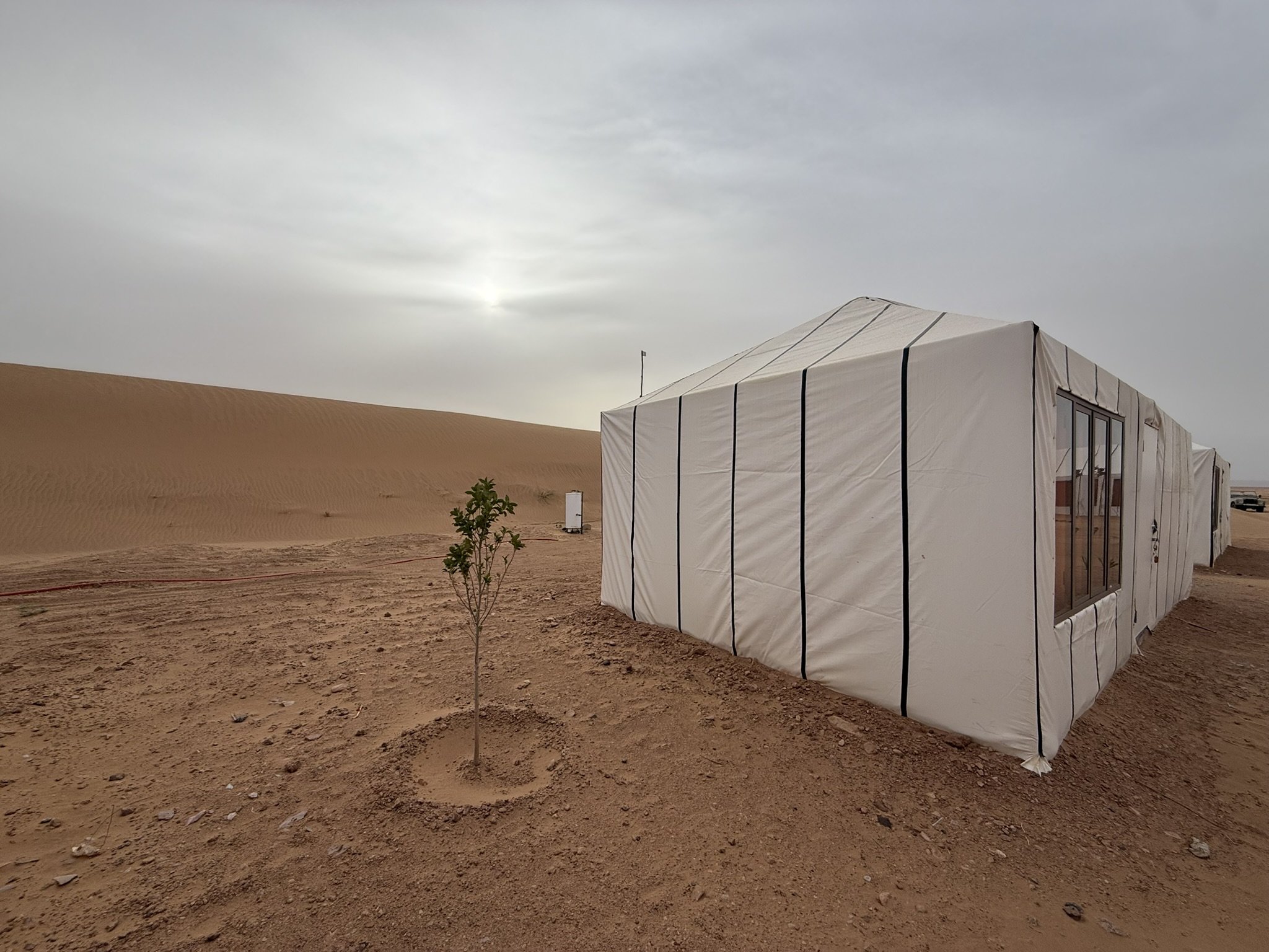 Roots in the Sahara: How Arawan Is Growing Something That Lasts