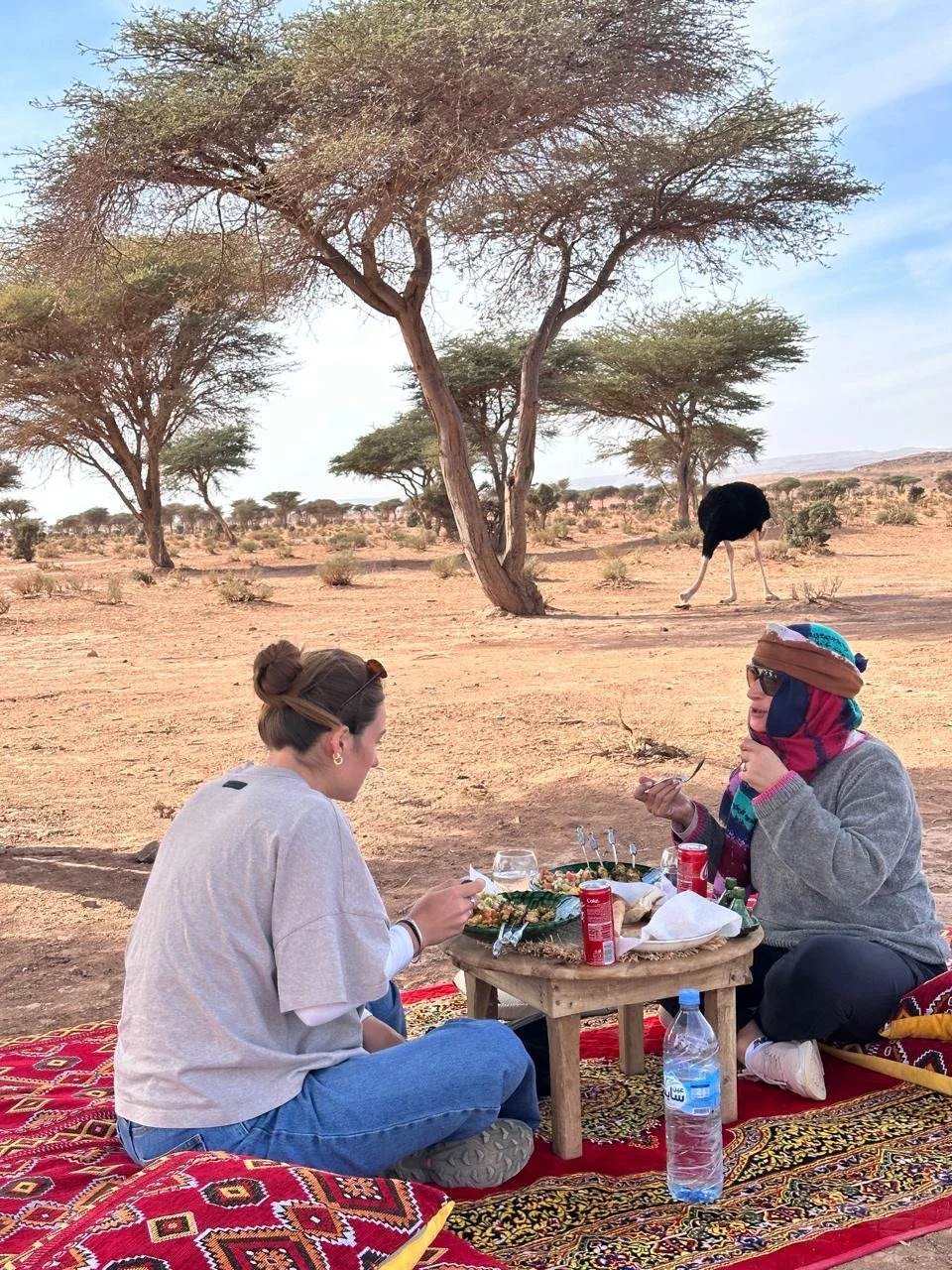 Two women sitting on a colorful carpet having a meal outdoors in a desert landscape with sparse trees and an ostrich walking nearby.