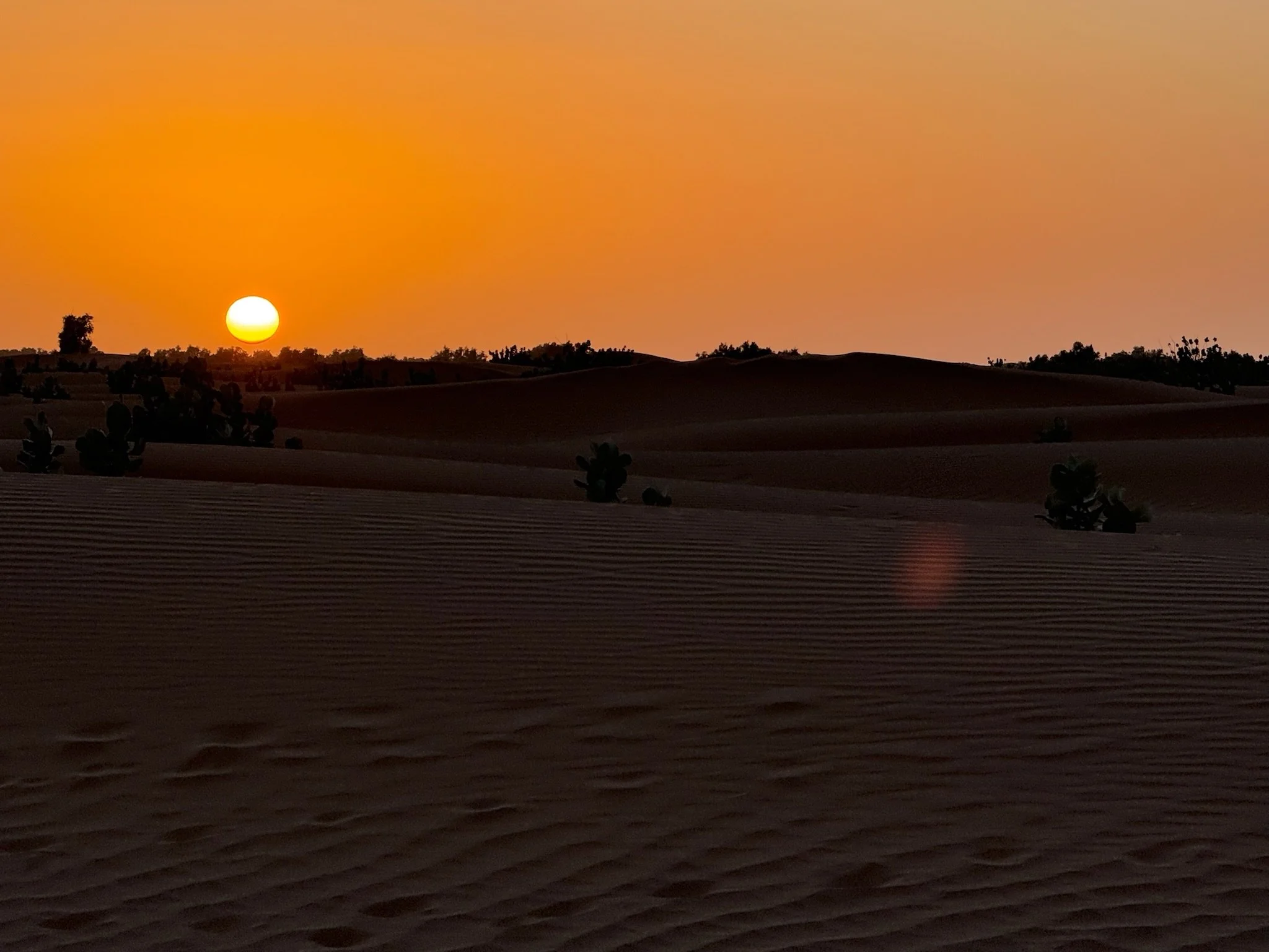 Sun setting over sand dunes in a desert landscape with some sparse vegetation and an orange sky.