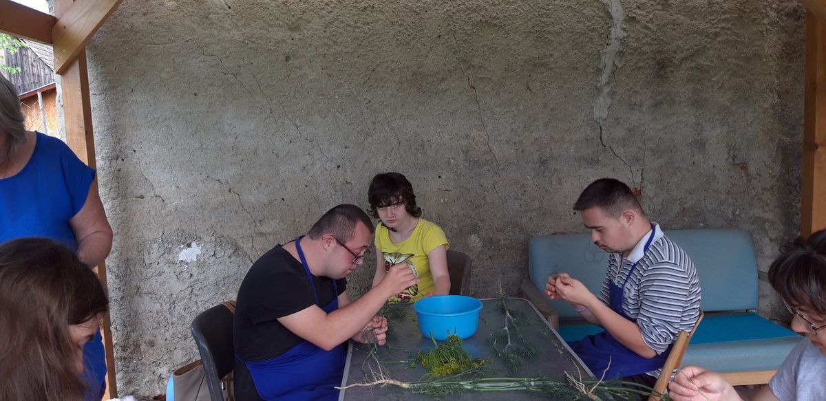 Menschen sitzen um einen Tisch und basteln mit Naturmaterialien wie Zweigen und Blumen in einem Raum mit einer rauen Wand.