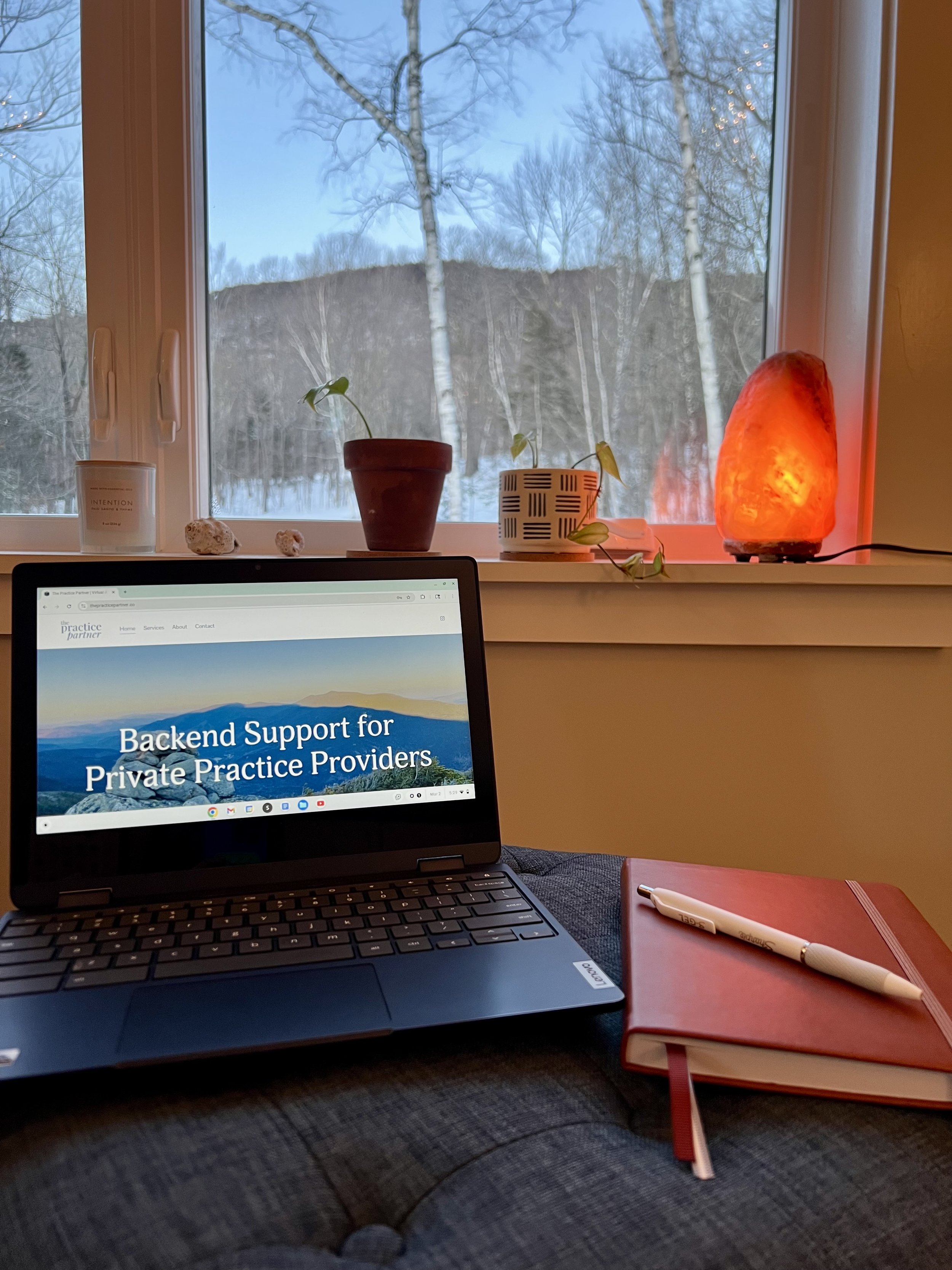 The Practice Partner - a virtual assistant service for private practice healthcare providers