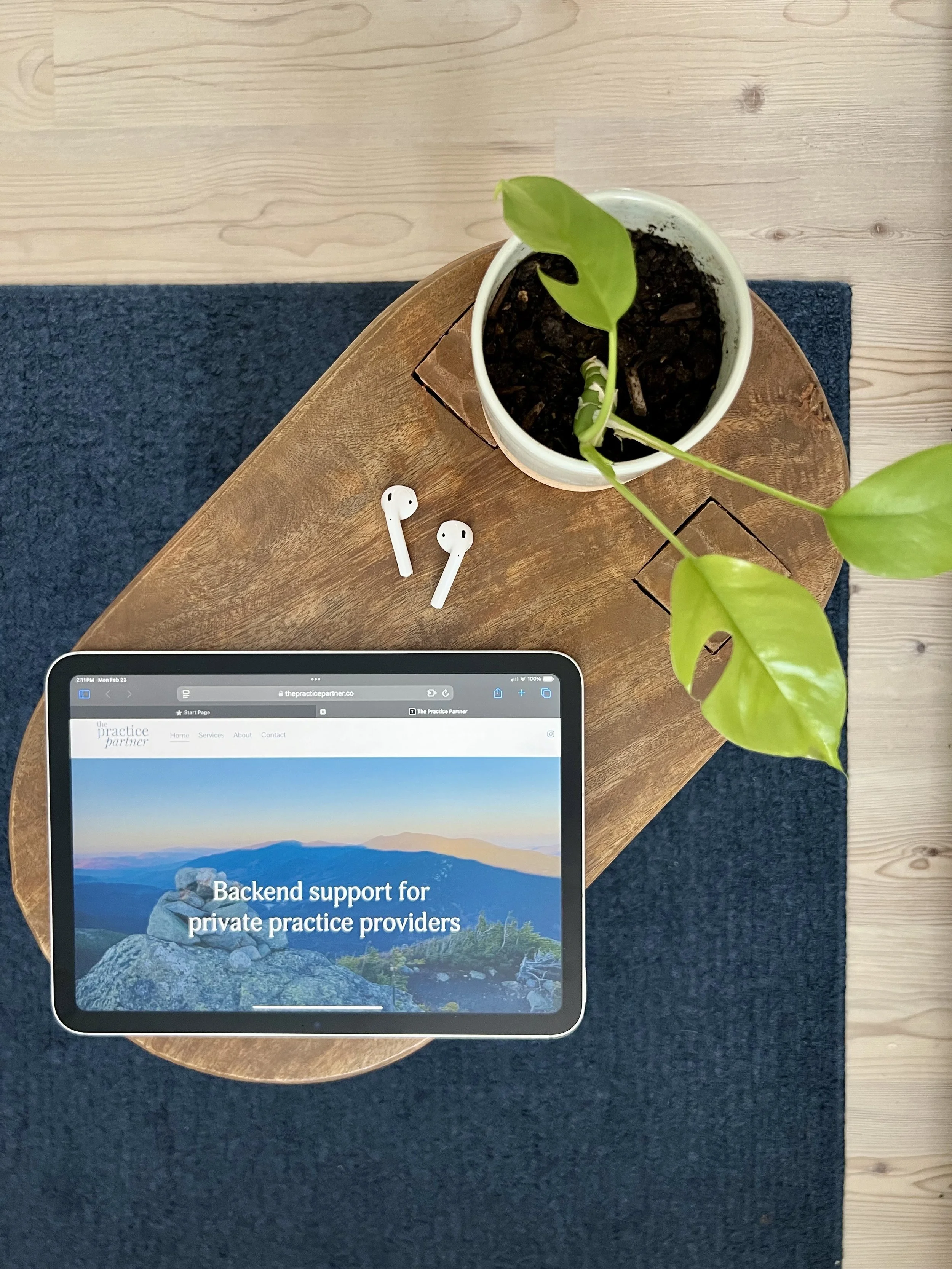 The Practice Partner - a virtual assistant service for private practice healthcare providers