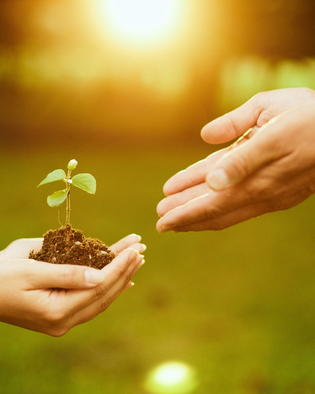 Parelveld ⎢Ondersteuning om sterker en zachter in het leven te staan