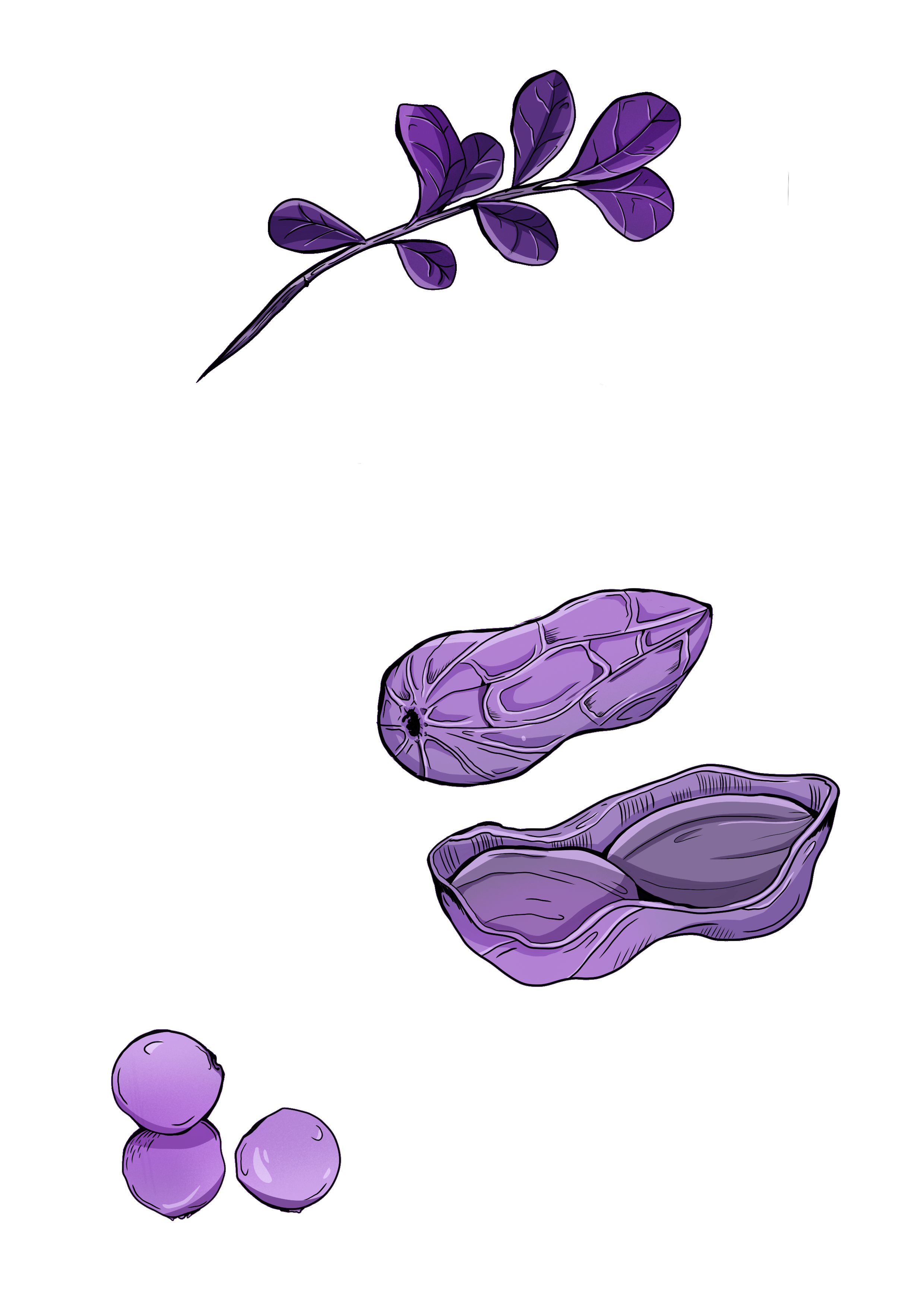 'uolukka' (20251022103948).png