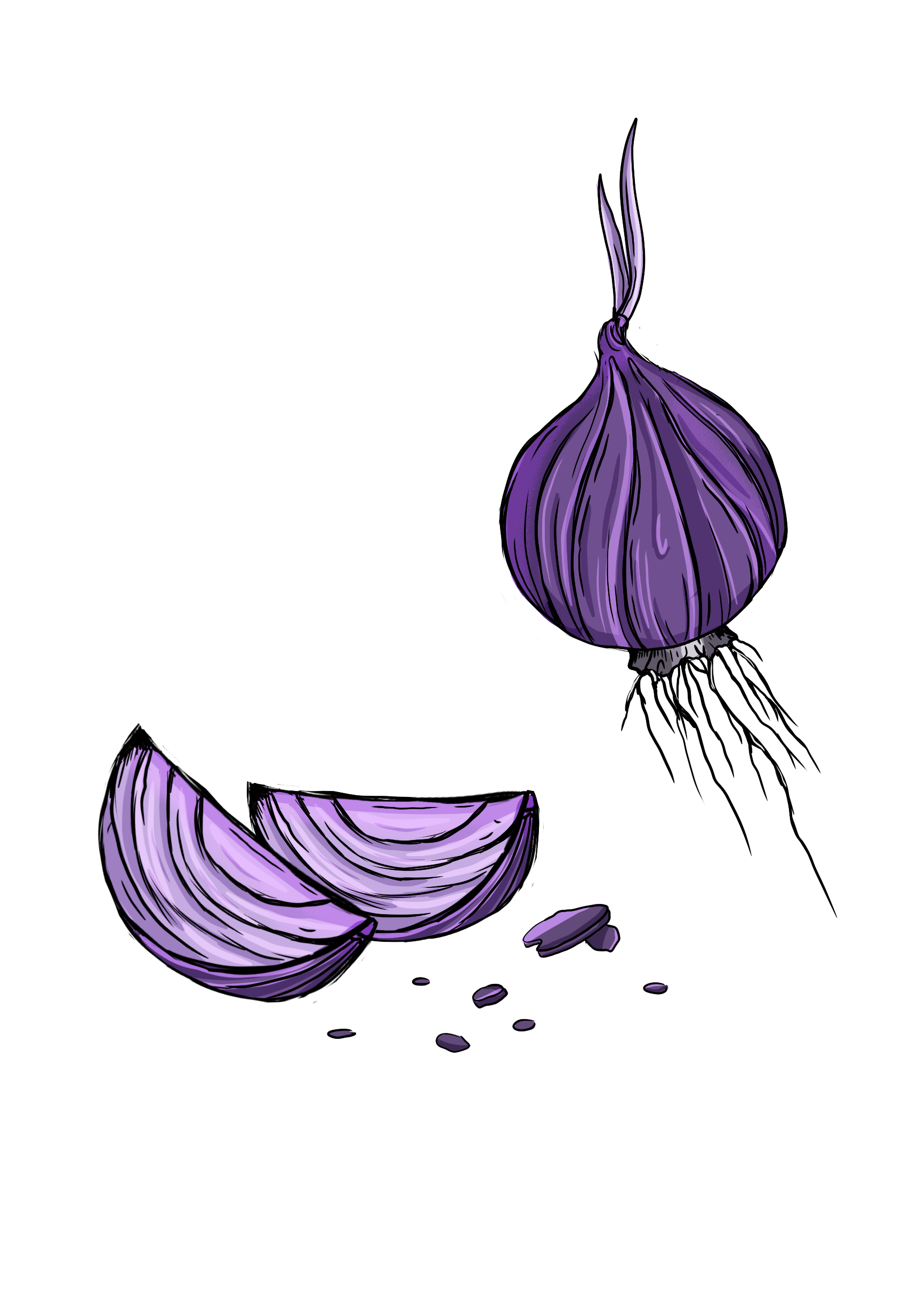 sipuli (20251003103537).png