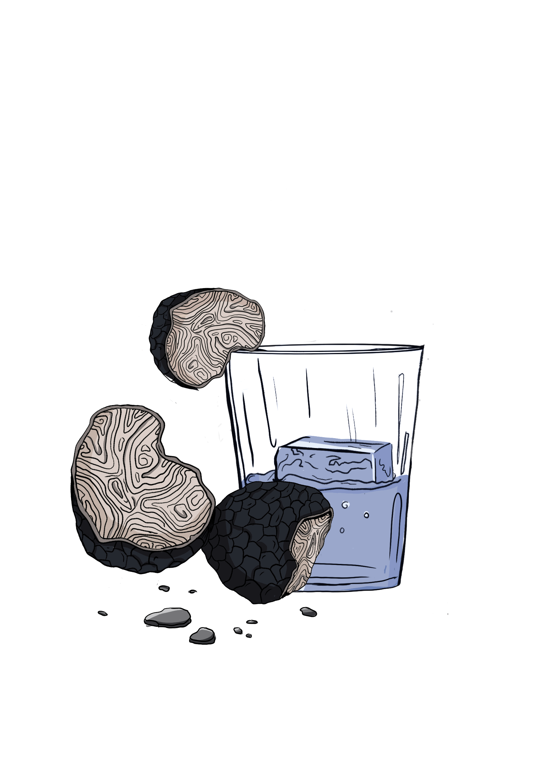 tryffeli (20251003071157).png