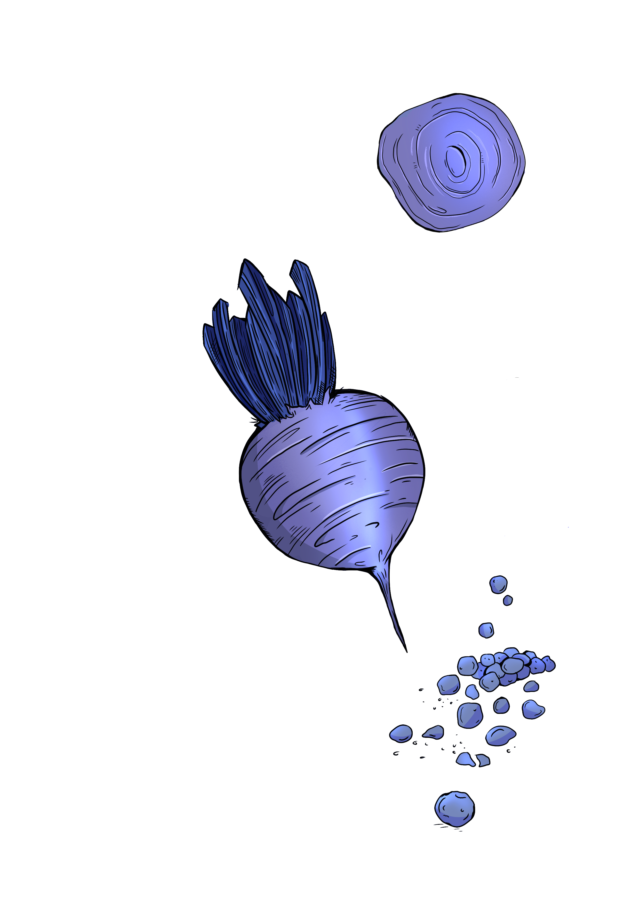 punajuuri (20251023063406).png