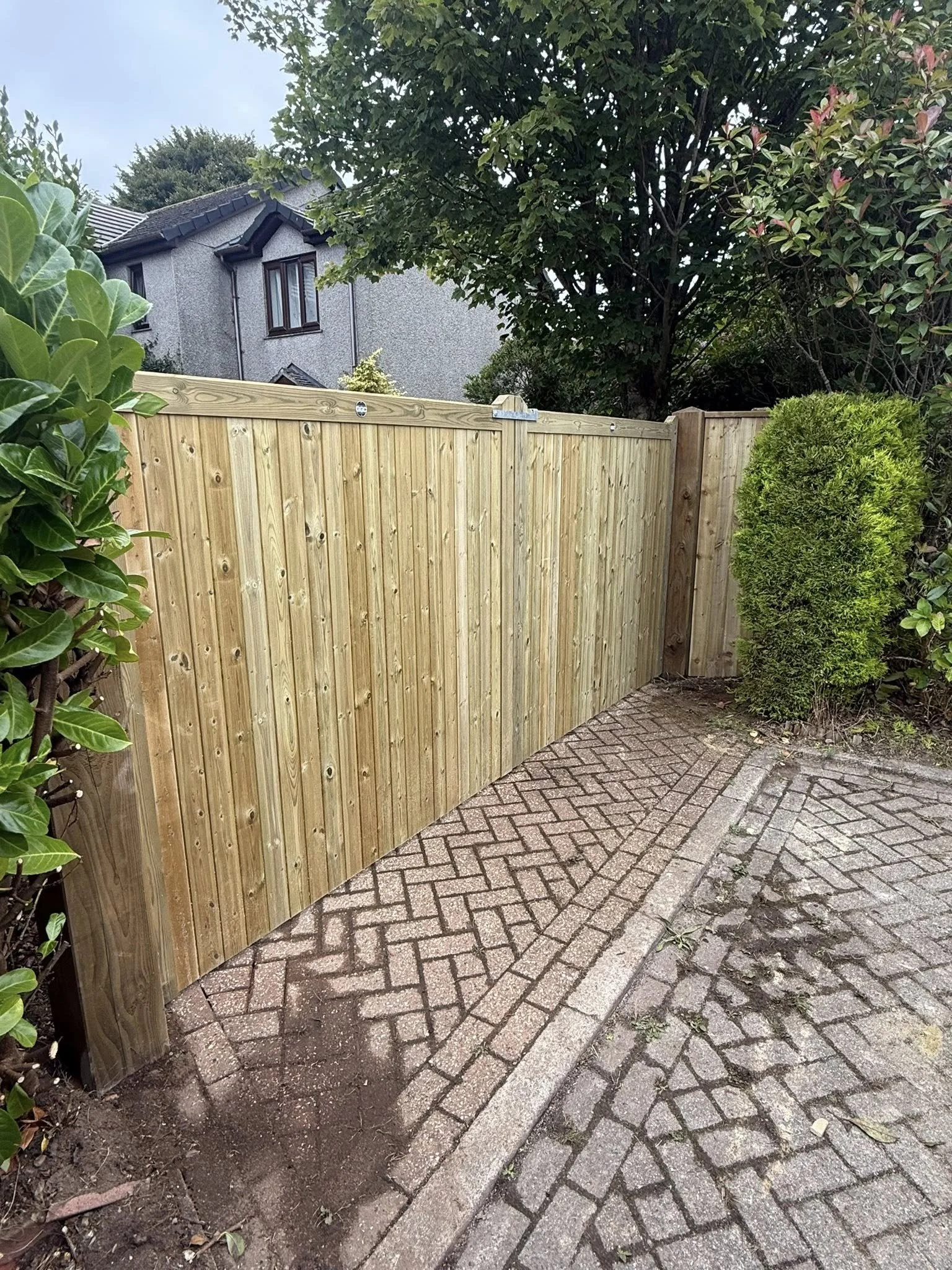 A newly installed wooden fence next to a garden with shrubs, brick paving, and a cobblestone sidewalk.