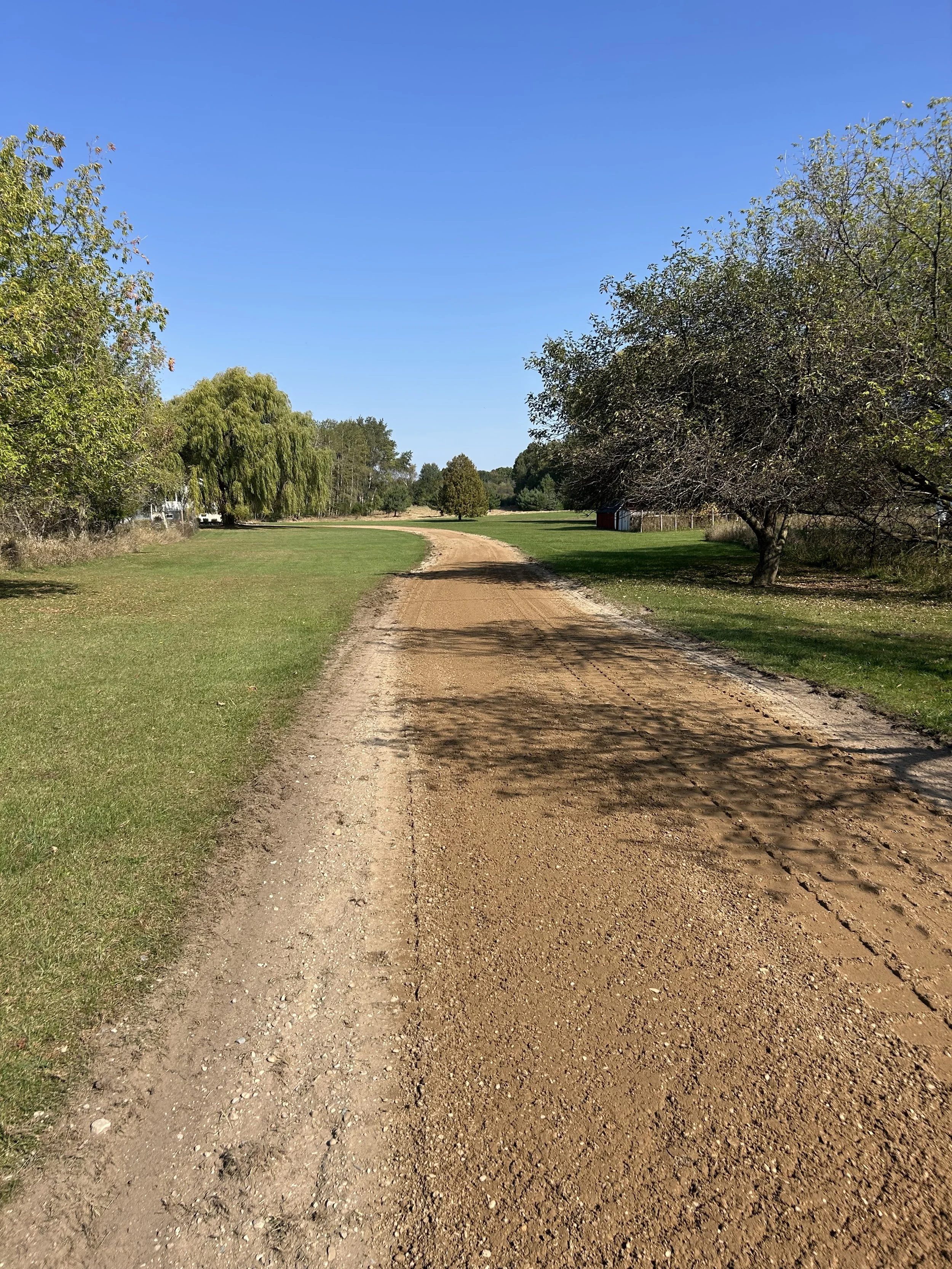 A rural dirt pathway running through a grassy landscape with trees on both sides, under a clear blue sky.