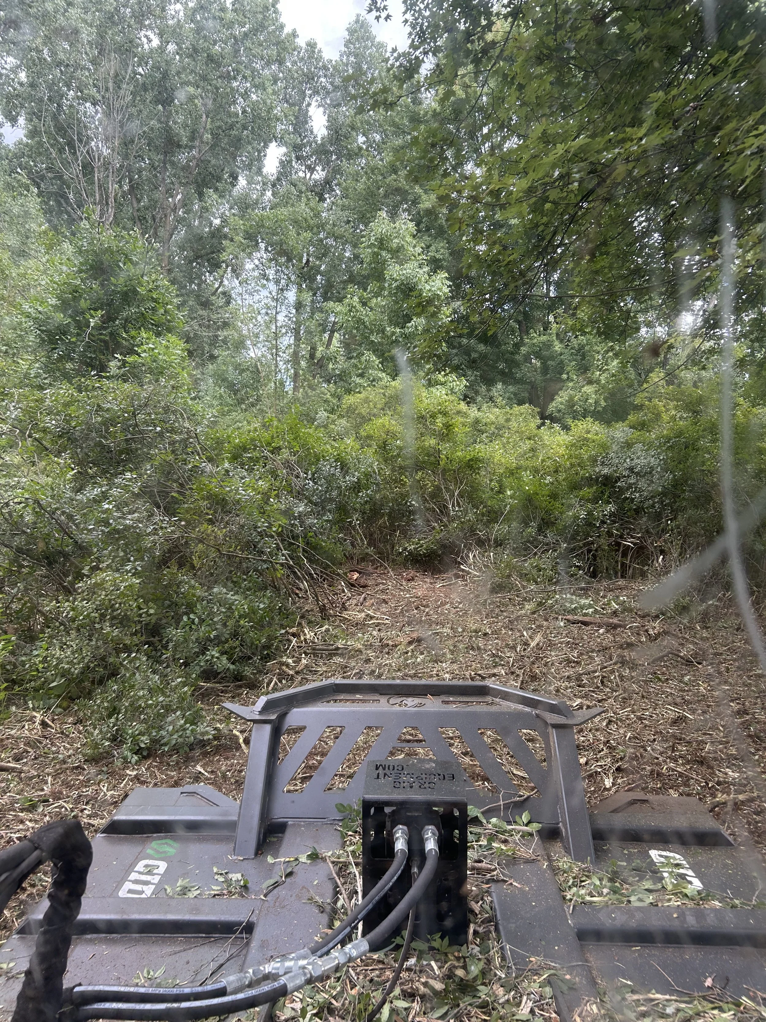 tree and brush removal