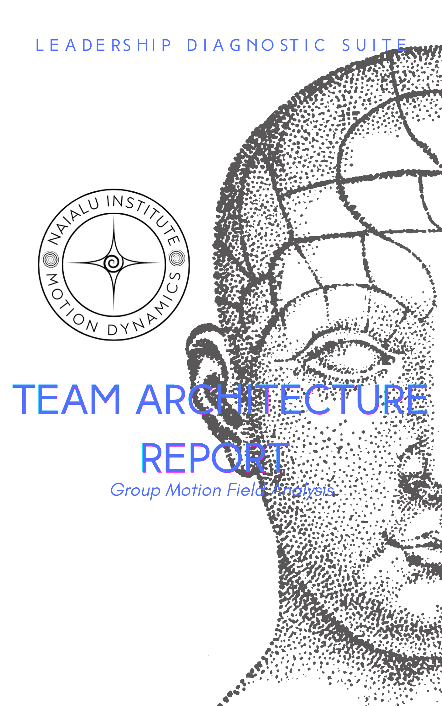 Team Architecture Report (Group Motion Field Analysis)