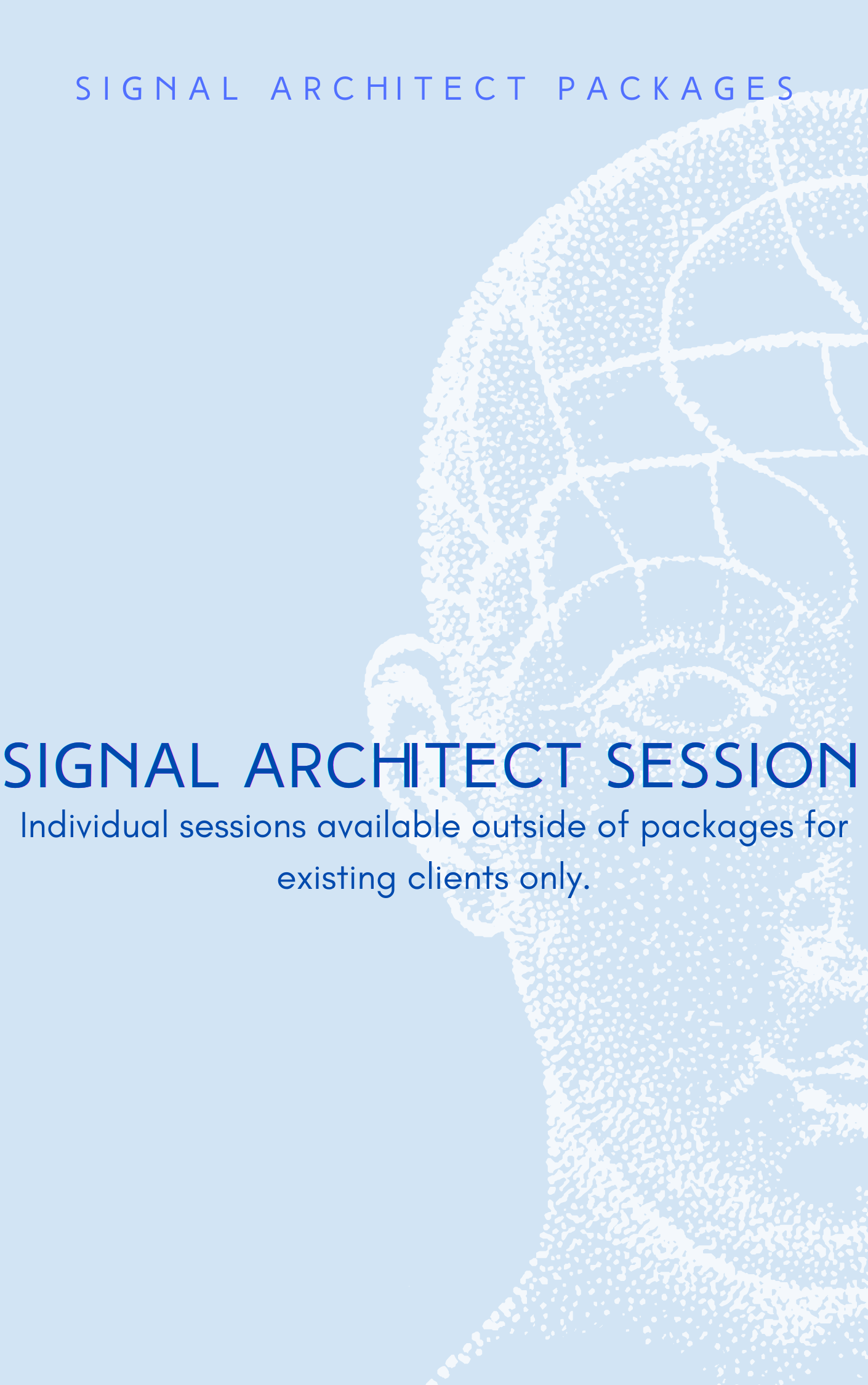 Signal Architect Session Direct Structural Consultation
