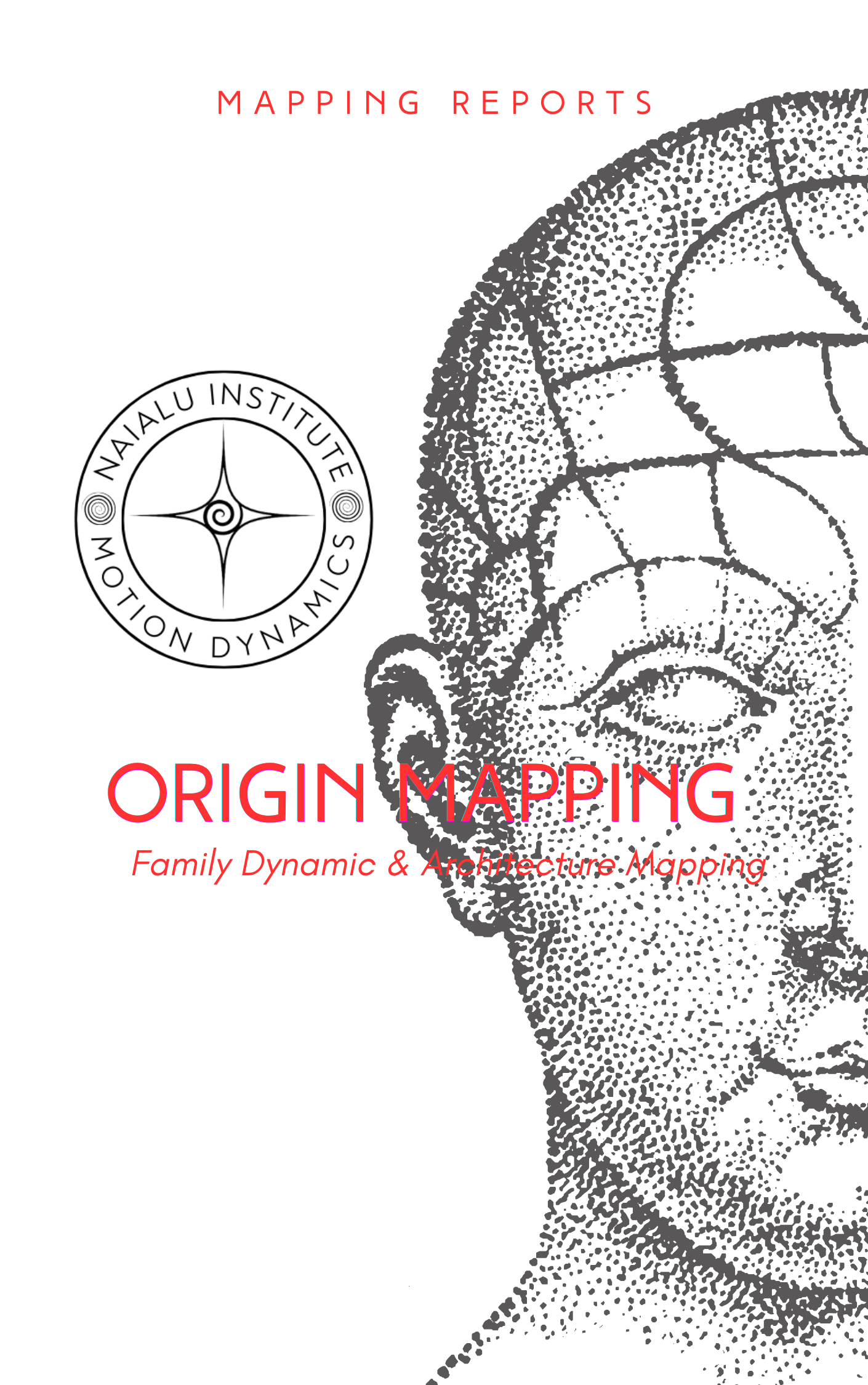 THE NAIALU™ SPIRAL REPORT COVERS (7).png