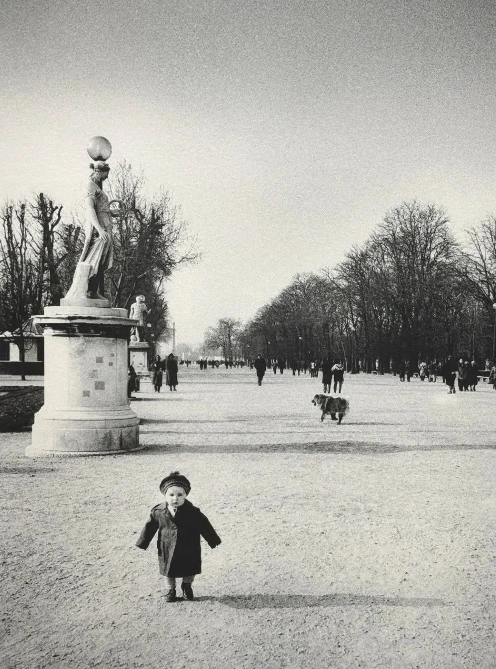 Paris%252BT%252B1.jpg