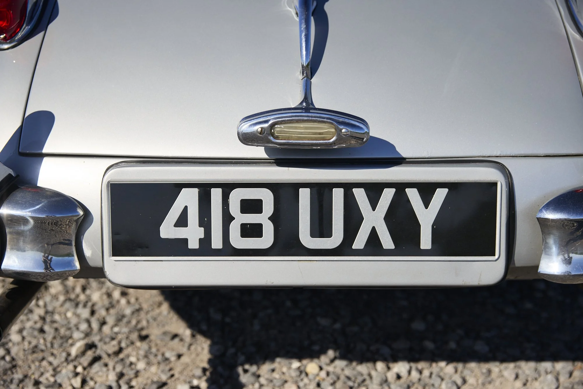 JF7_1319.jpg