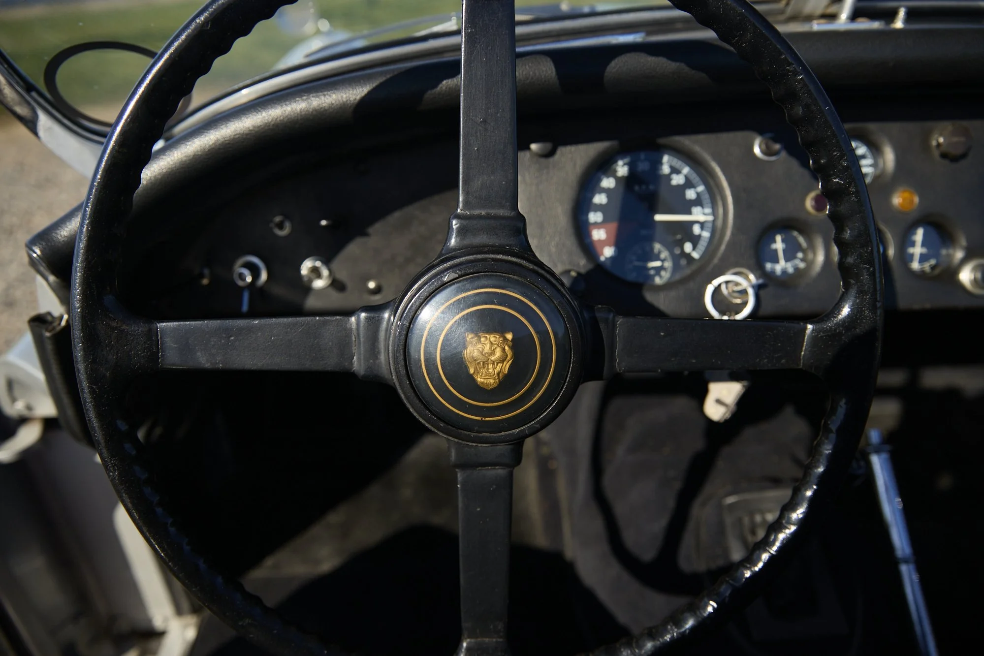 JF7_1354.jpg
