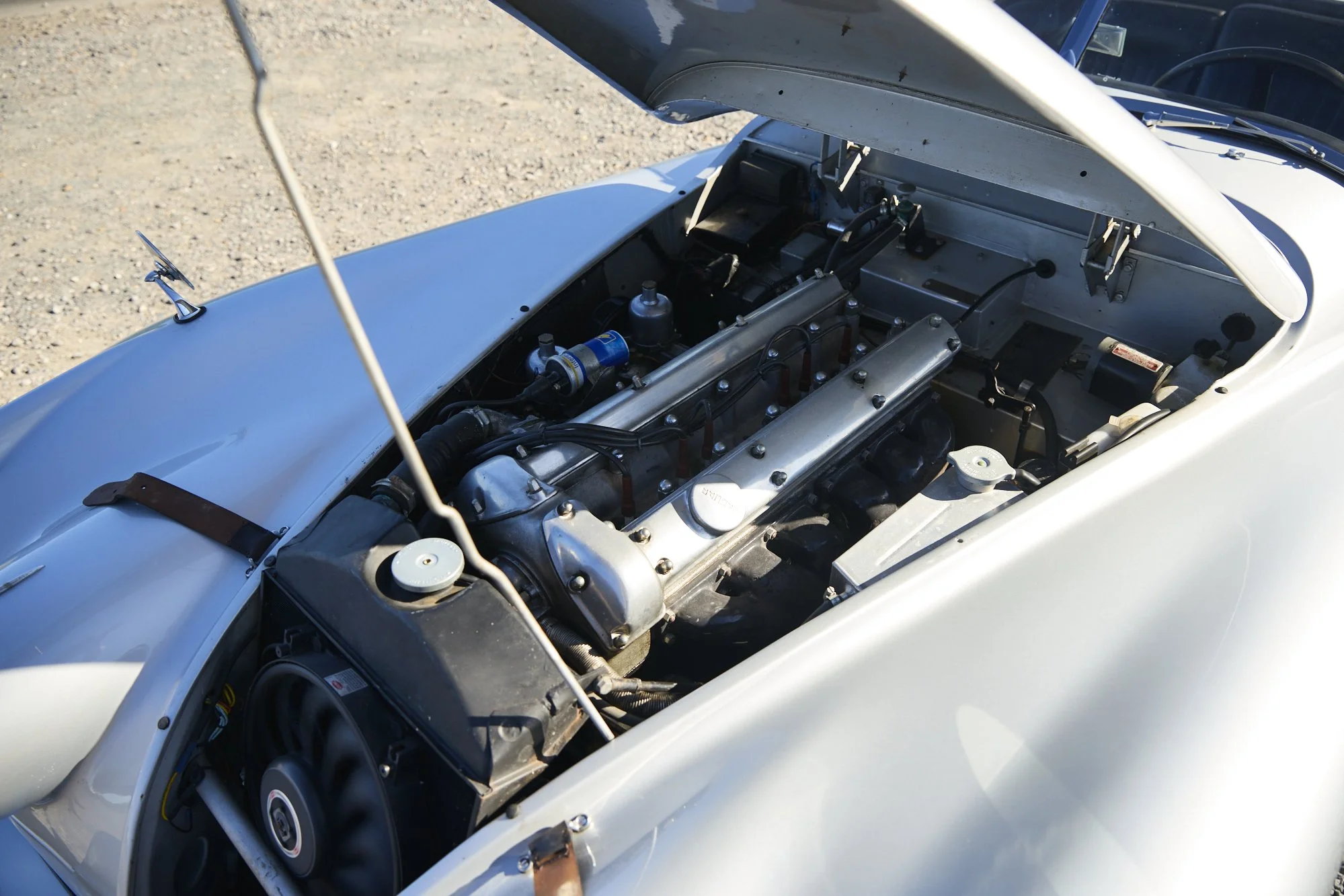 JF7_1395.jpg