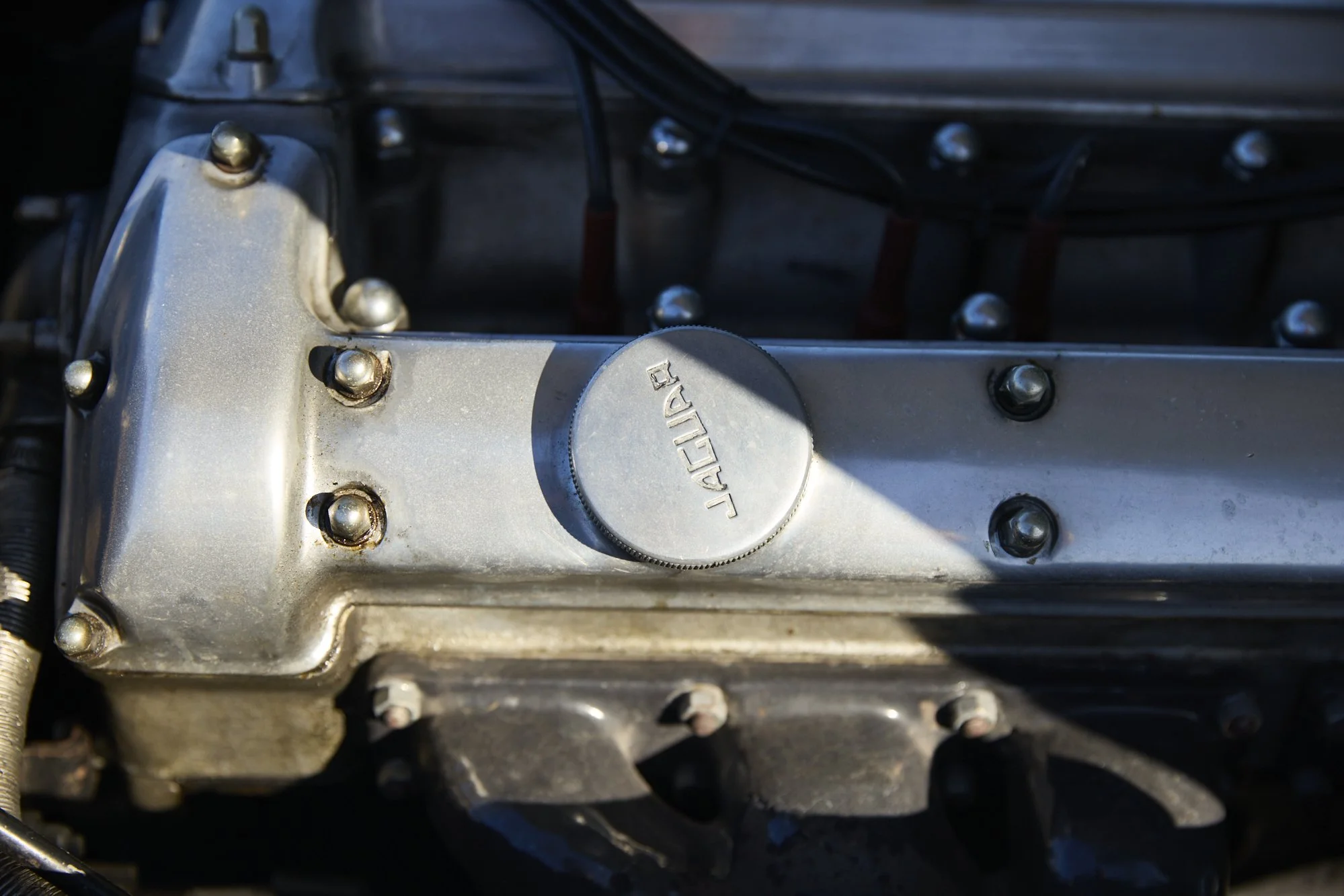 JF7_1396.jpg