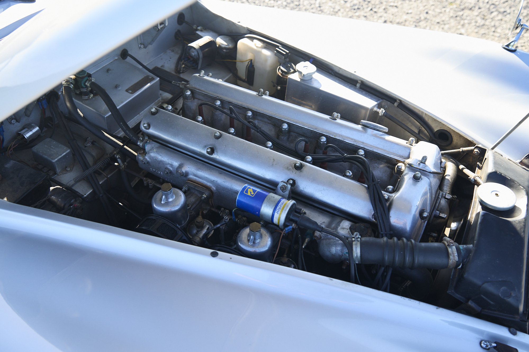 JF7_1399.jpg