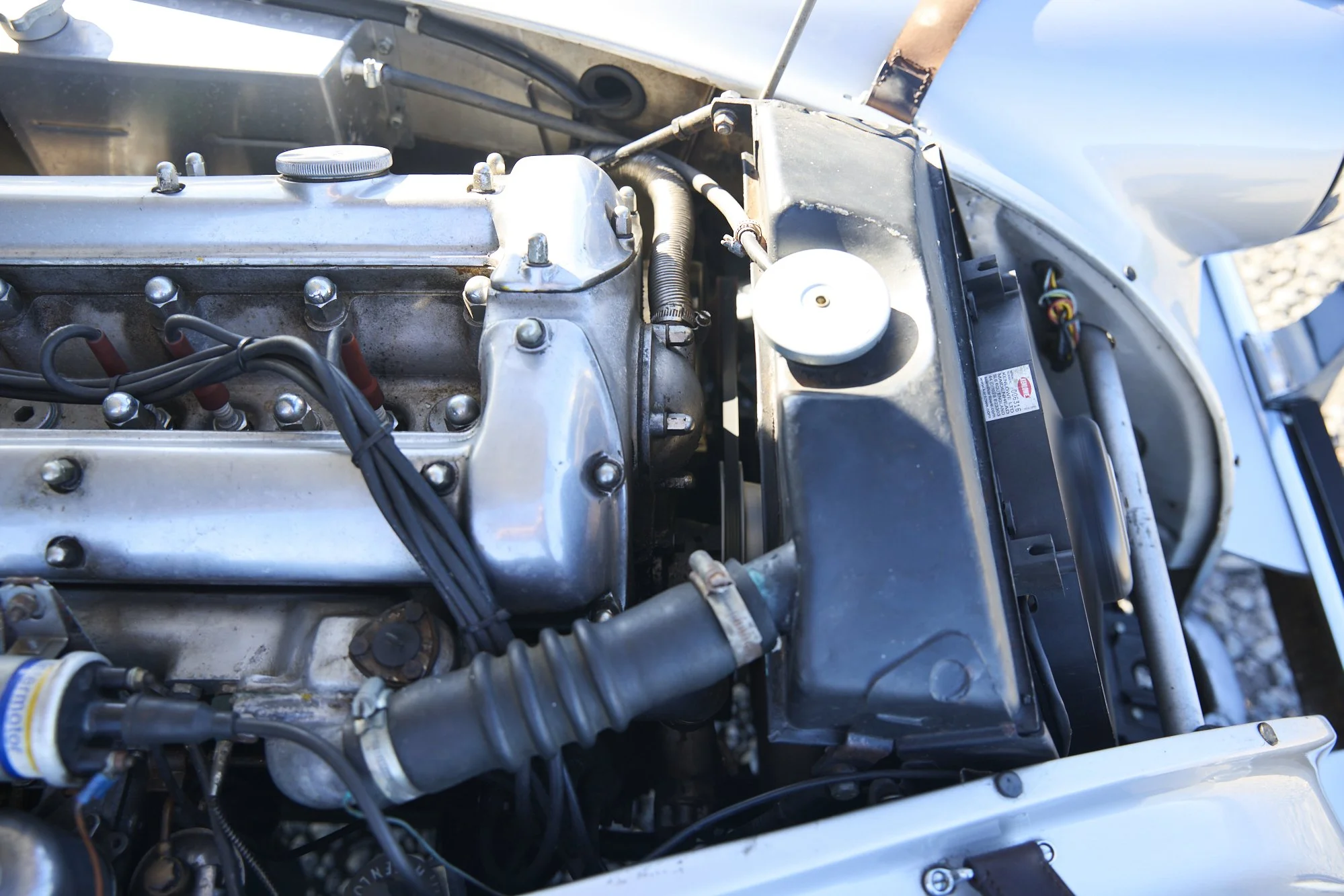 JF7_1401.jpg