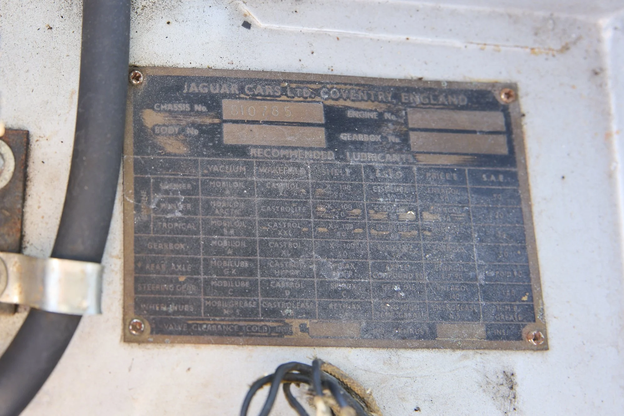 JF7_1406.jpg