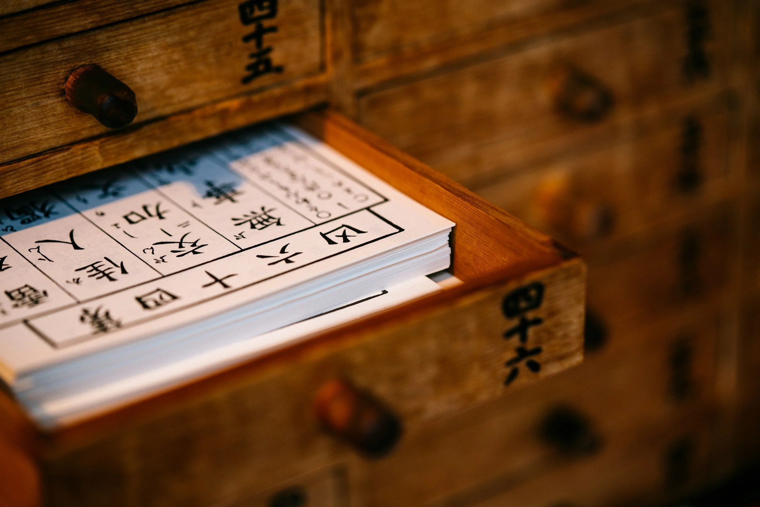 Constitutional Medicine Explained: Organs, Emotions, and the Five Elements