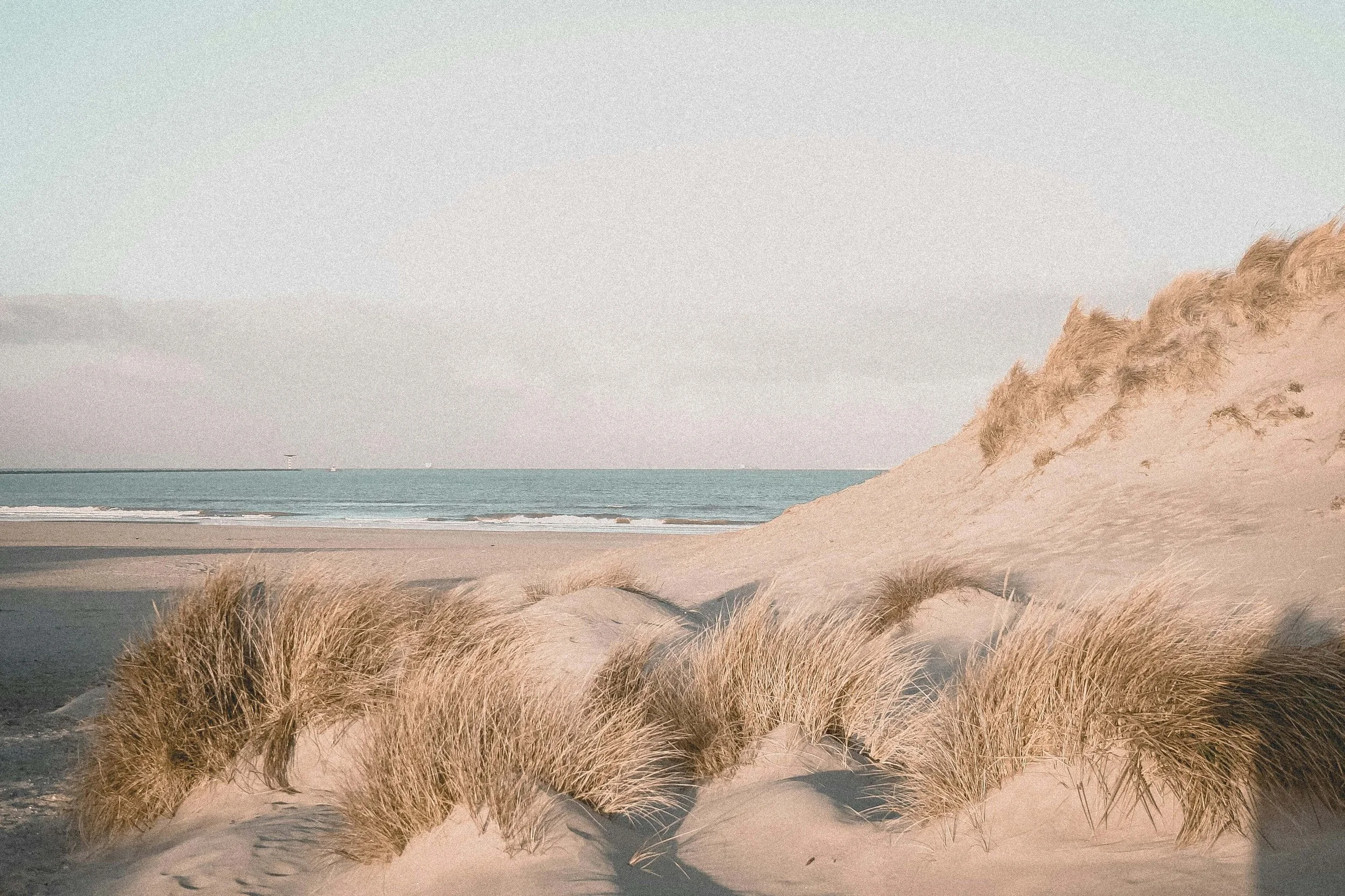 Sandy beach with dune grass and a view of the ocean, under a pale sky.