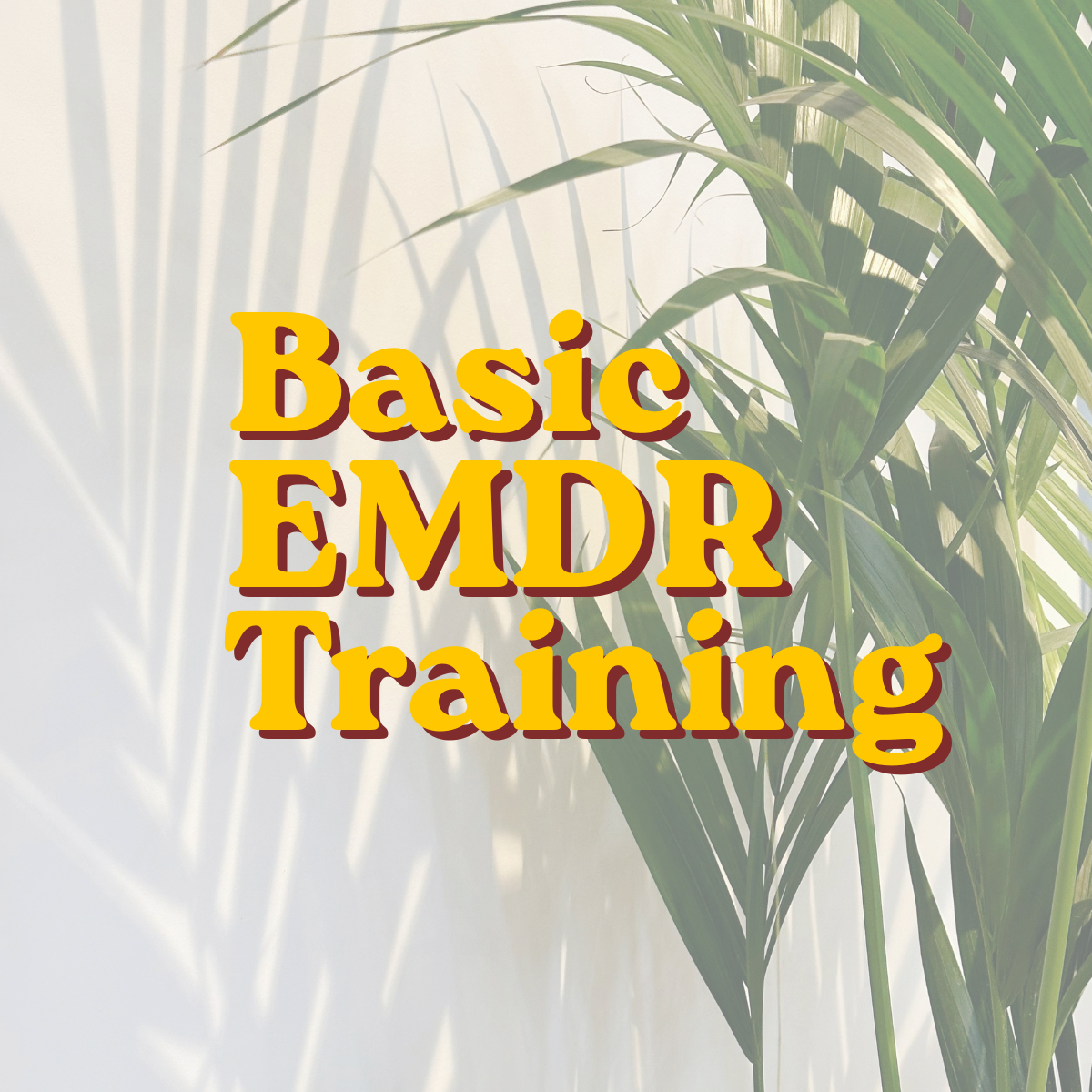 In Person EMDR Basic Training Fall 2026- Pittsburgh, PA