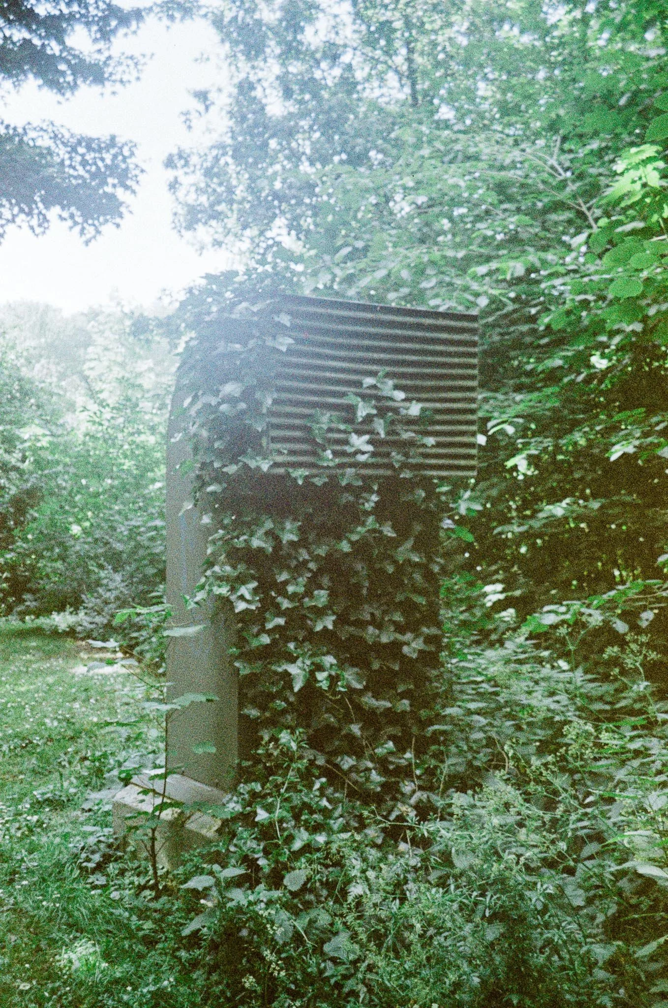 An air shaft covered in ivy, situated in a wooded area with trees and greenery.