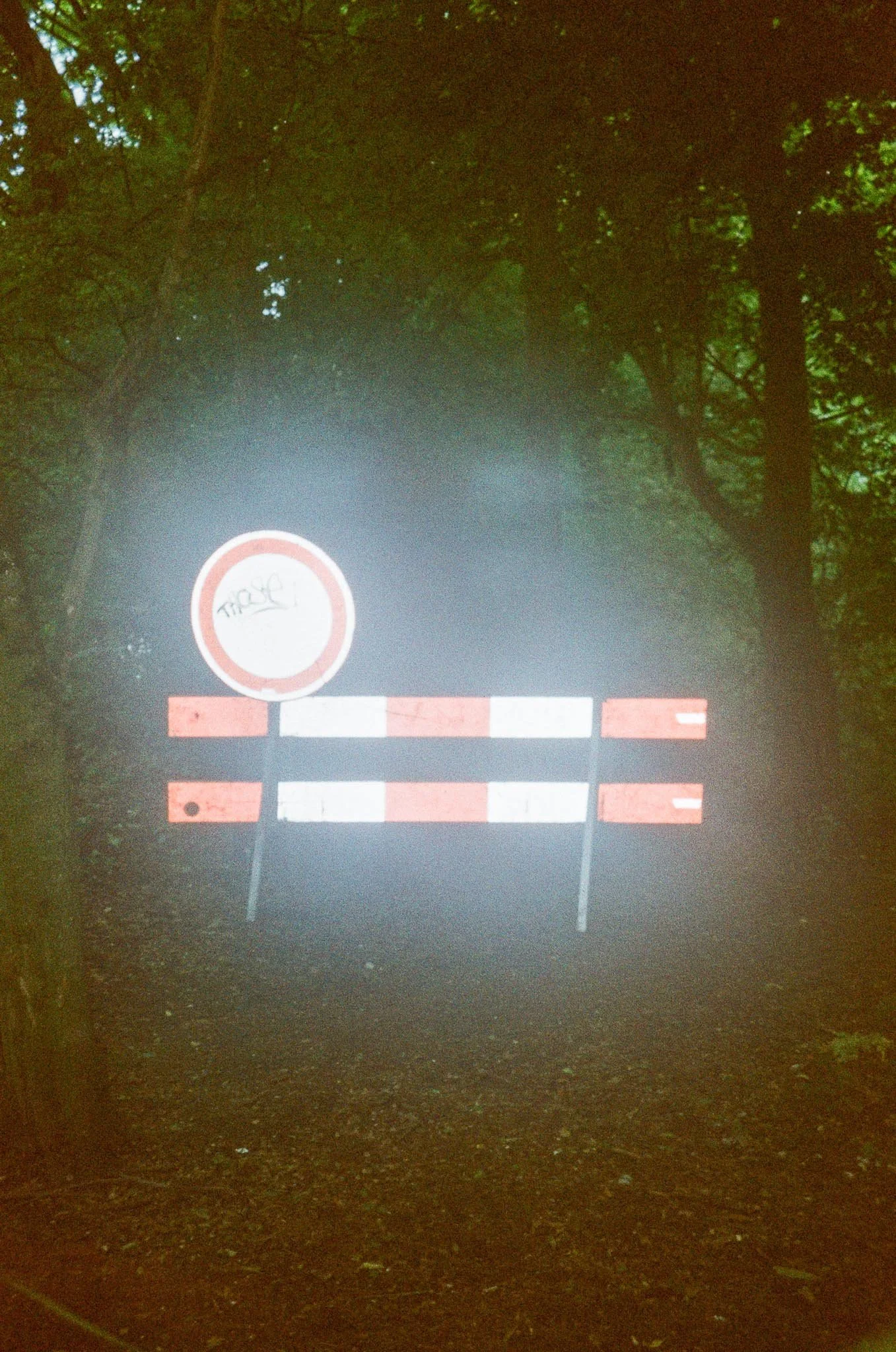 Wooded pathway blocked by a barrier and a circular sign with a white background, red border, and saying "TRASE" in the center.