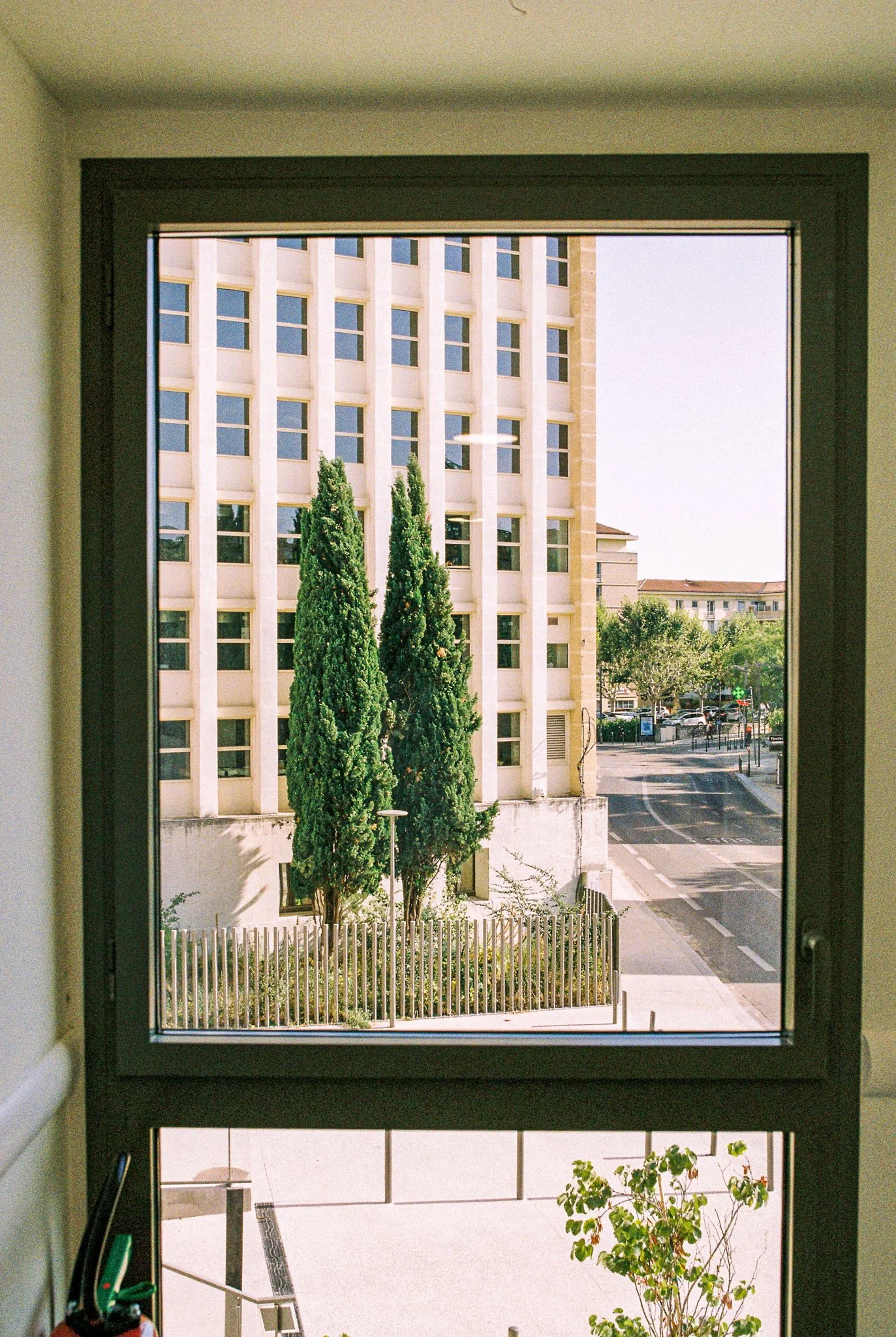 View from inside looking out window at a modern white building with multiple windows, two tall trees, and a street with parked cars and trees.