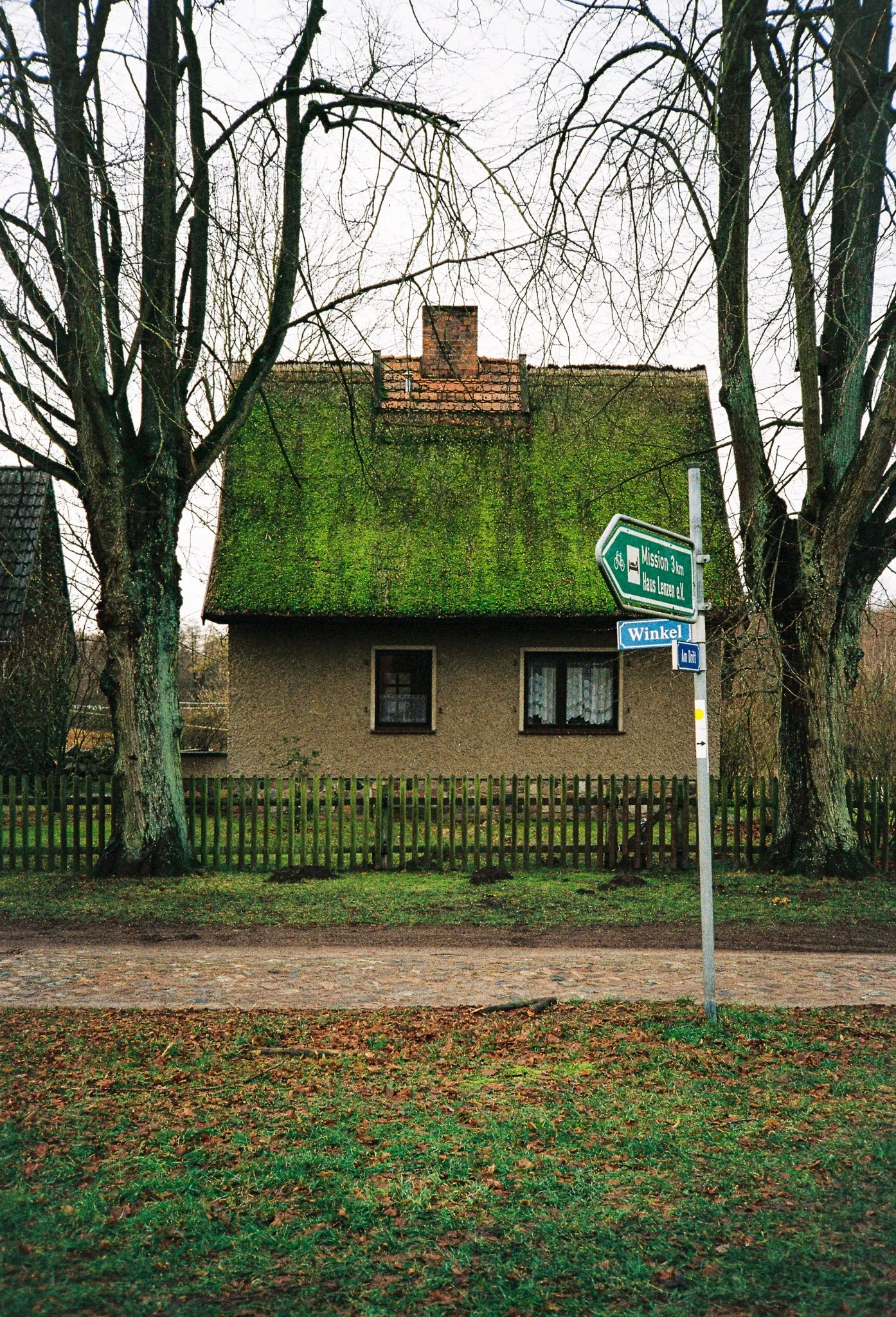 A house with moss-covered roof, two trees in front, and street signs at the corner.
