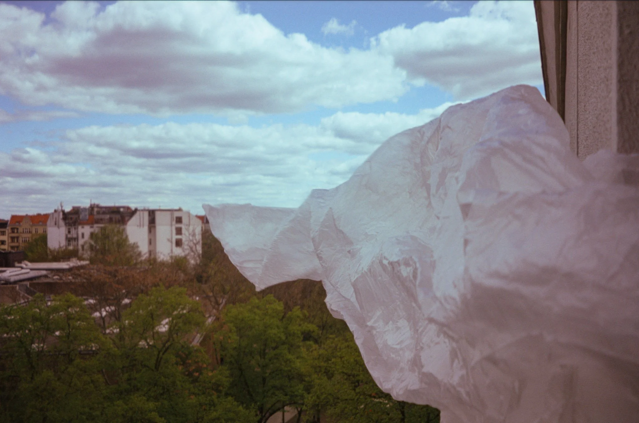 A window view of a cityscape with buildings and green trees, and a crumpled white plastic bag hanging from the window frame.