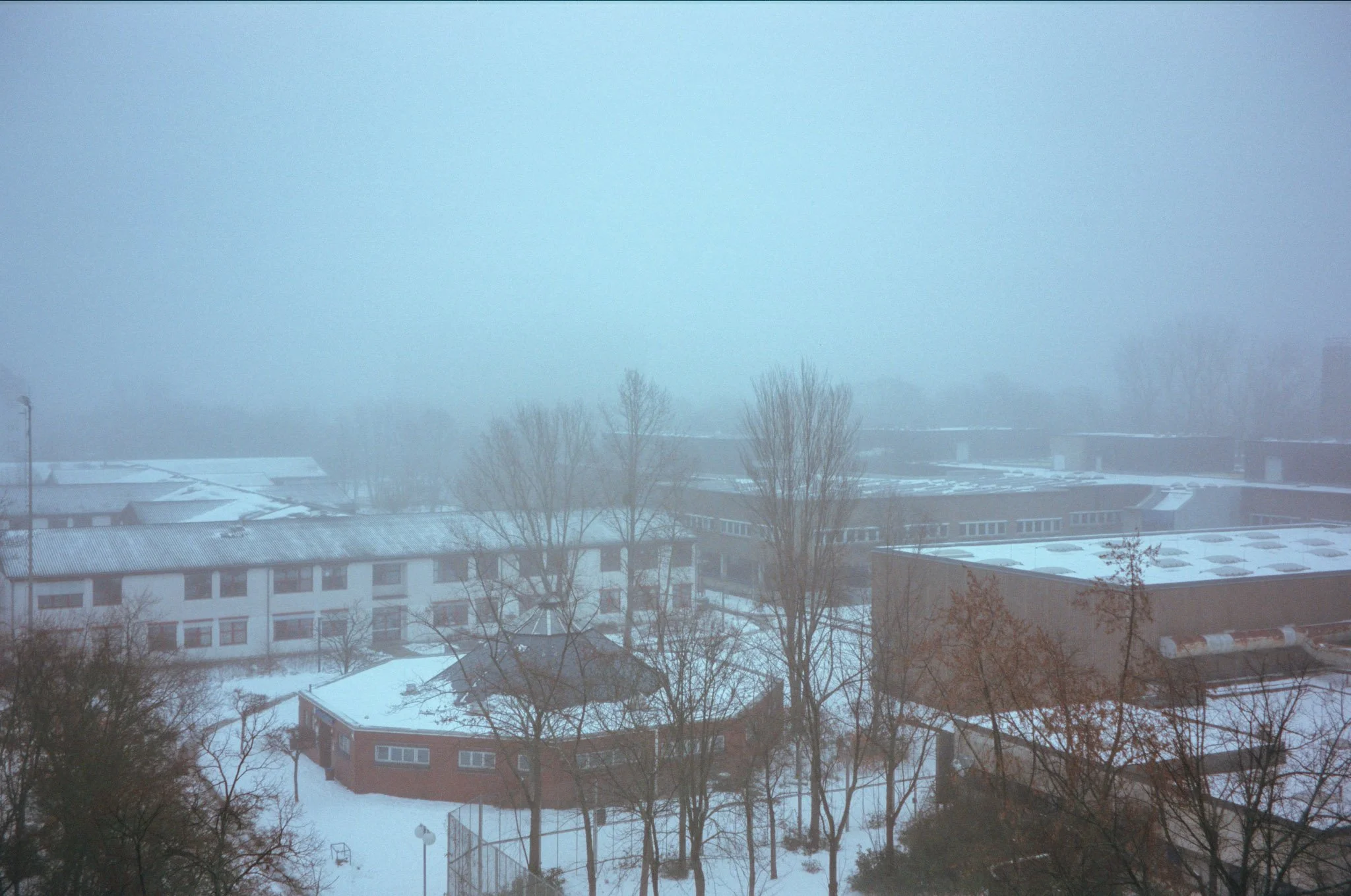 Snow-covered school buildings and leafless trees shrouded in fog.