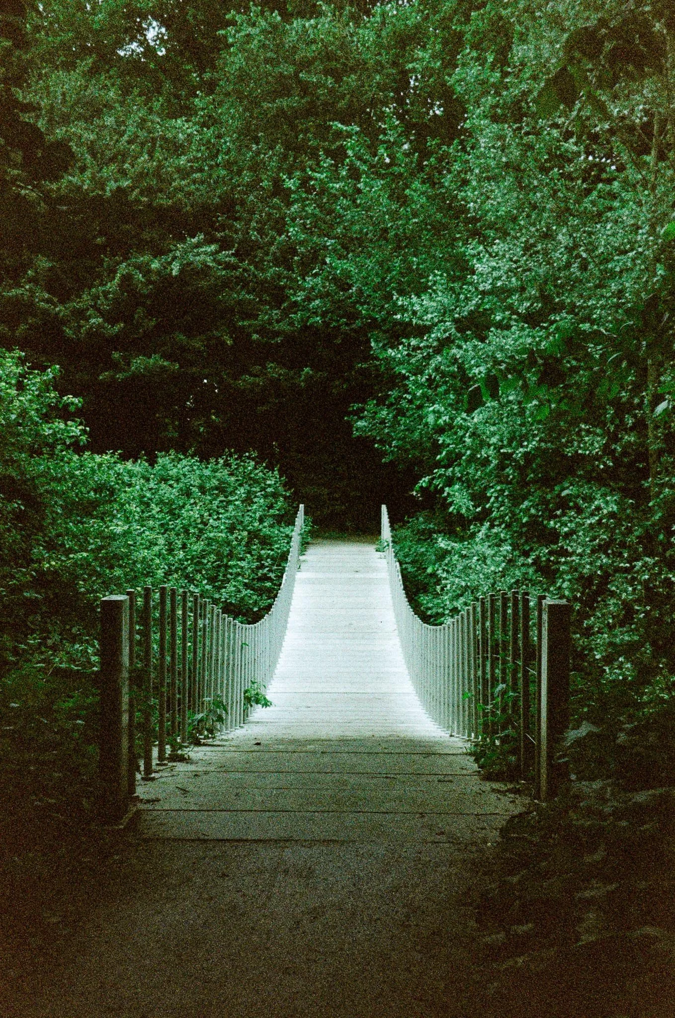 A small pedestrian suspension bridge with white railings extending into a dark, densely wooded area.