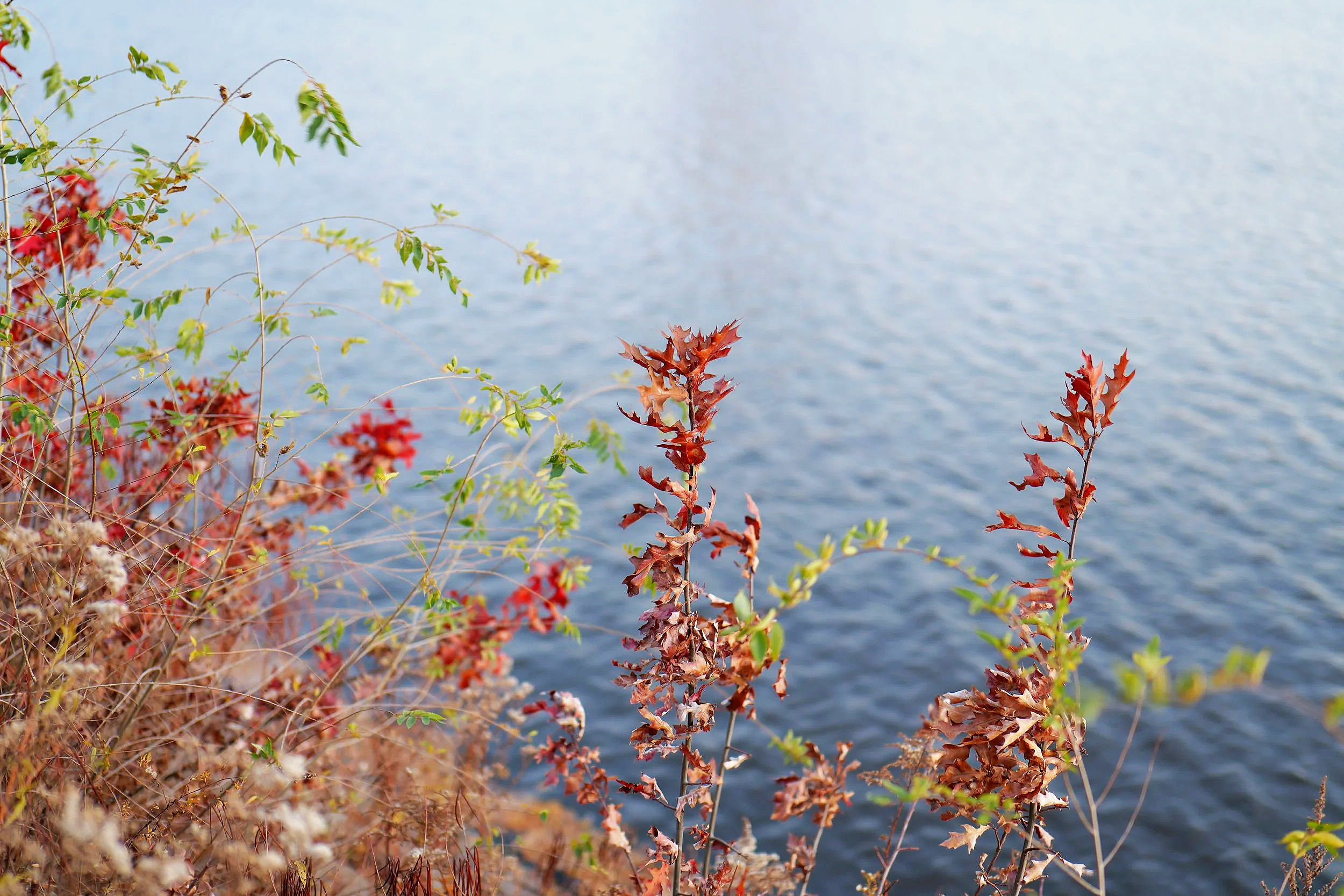 P1119158.png